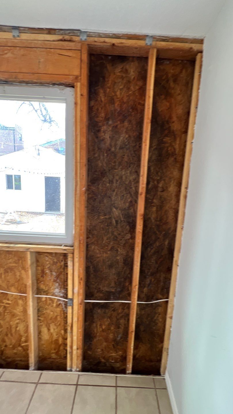 Mold Remediation  by Accountable Home Services