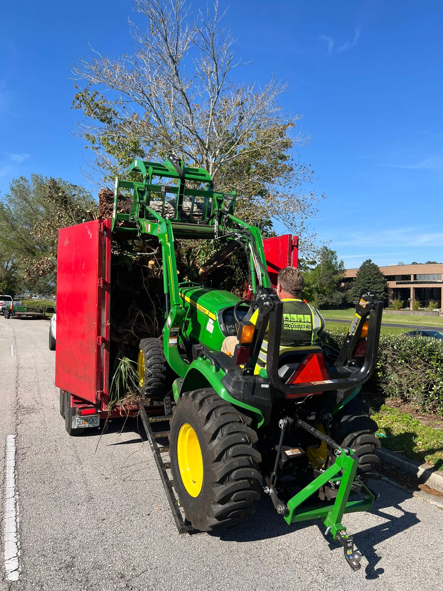 Tree Work | The Avenues Mall by ProGreen Services