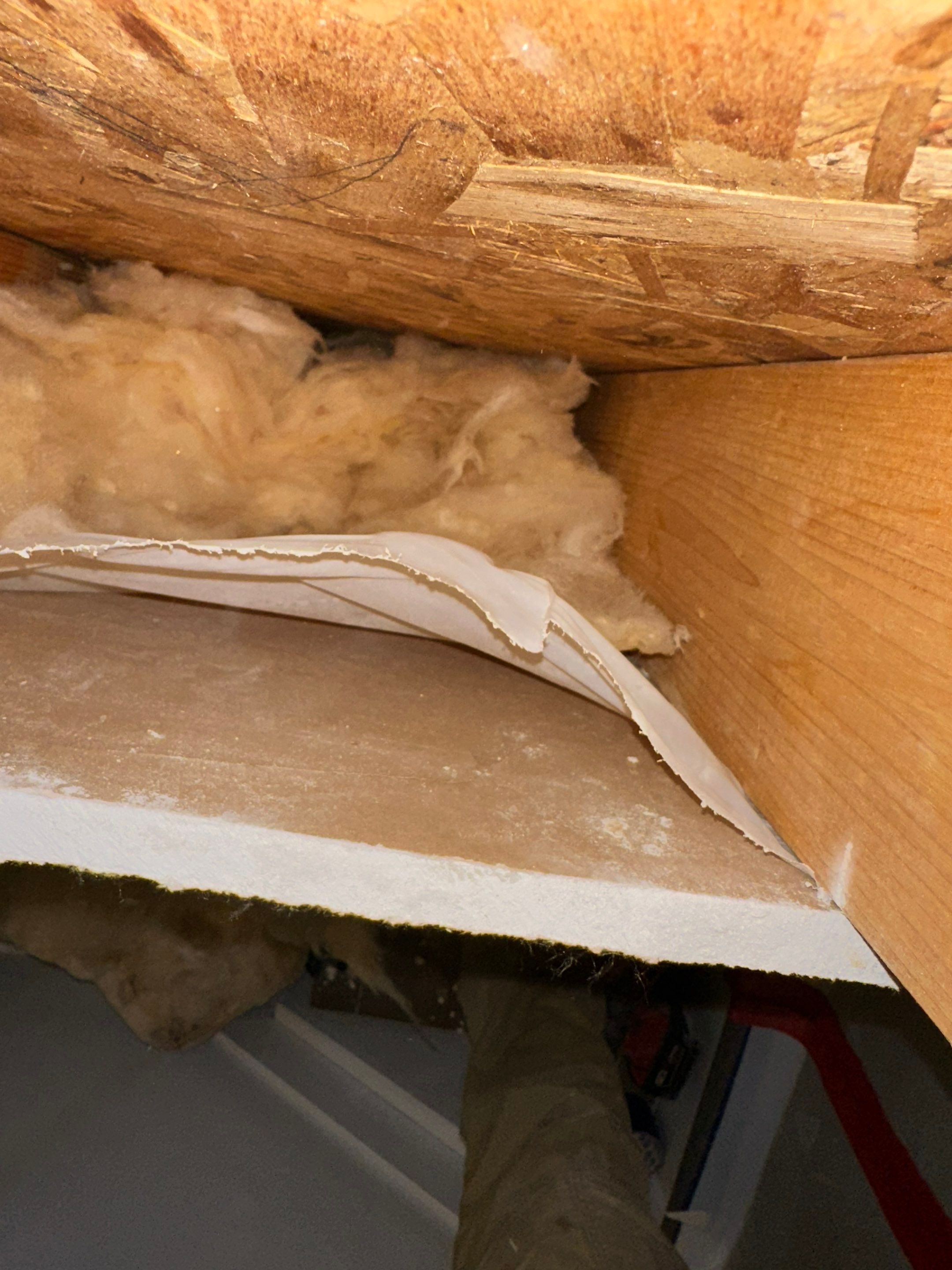 Water Damage in Denver, CO by Alpha Restoration 
