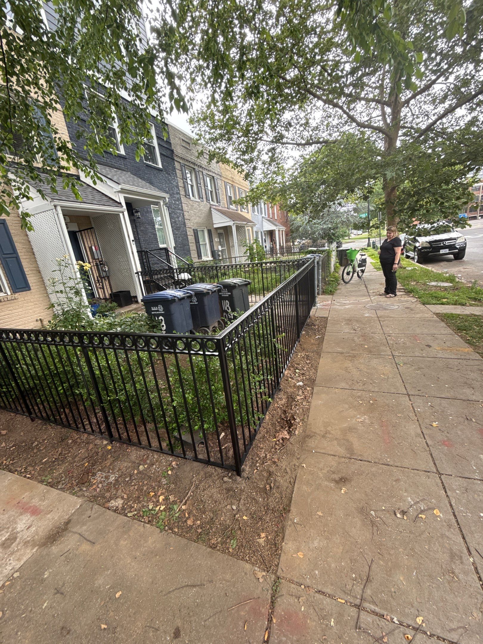 Custom Iron Fencing & Pet-Safe Gate Installation in Washington, DC. by Capitol Iron Works