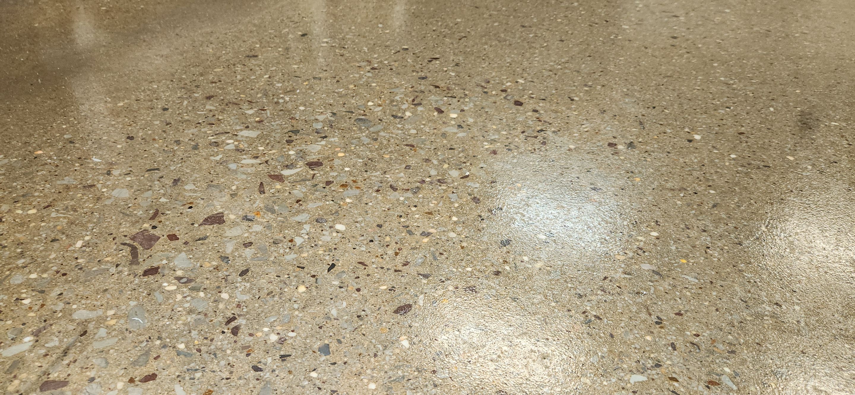 Grind and Seal Bakery Floor Upgrade by Elite Floor Solutions