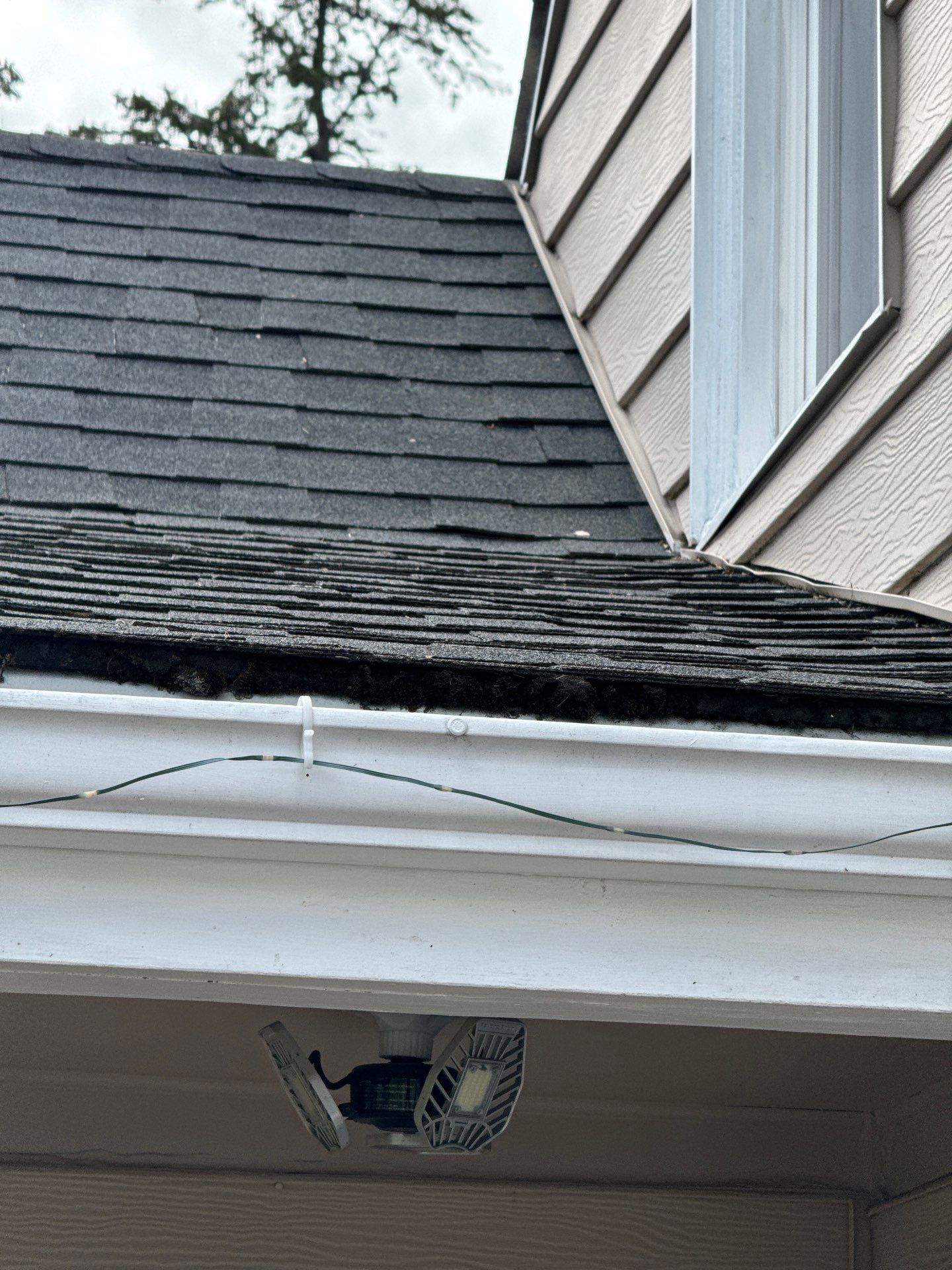 Project in Lakewood by Connolly Construction Company