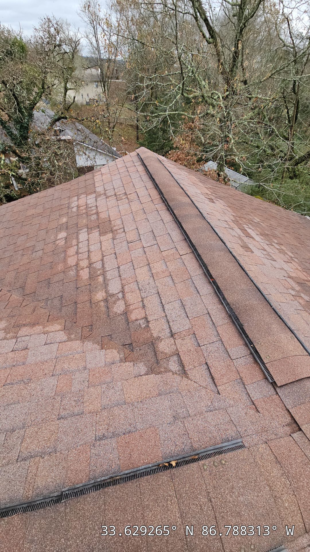 Roof Replacement (Barkwood) and Tree Removal in Birmingham  by The Roofing Dudes