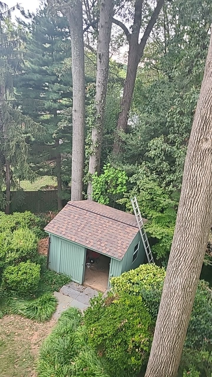 Arlington: CertainTeed Landmark Pro Designer Shingles in Max Def Heather Blend by RM Banning, Inc.