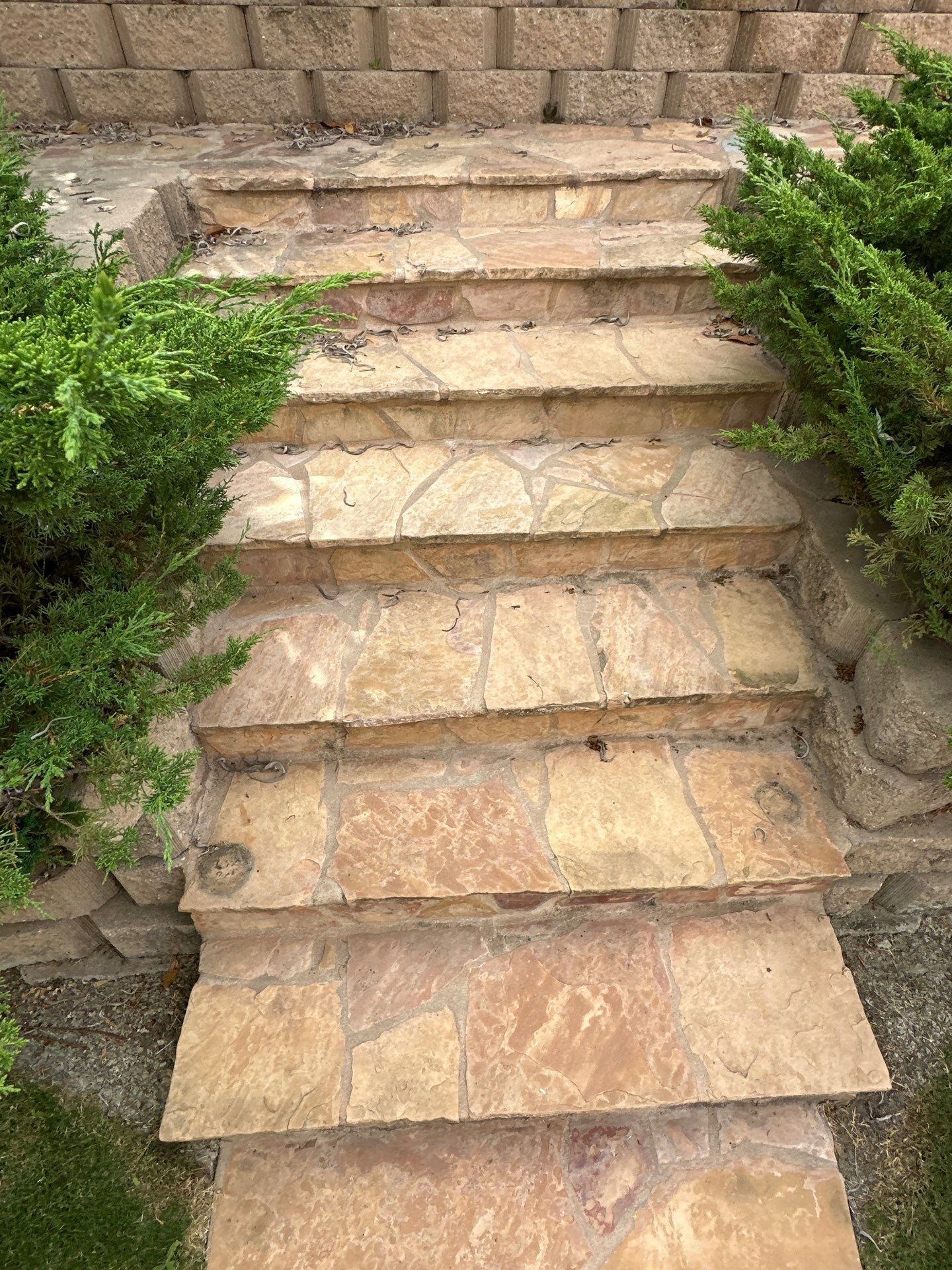 House Washing, Concrete Cleaning, and Window Washing with a Side of Gutters by Property Cleaning Experts