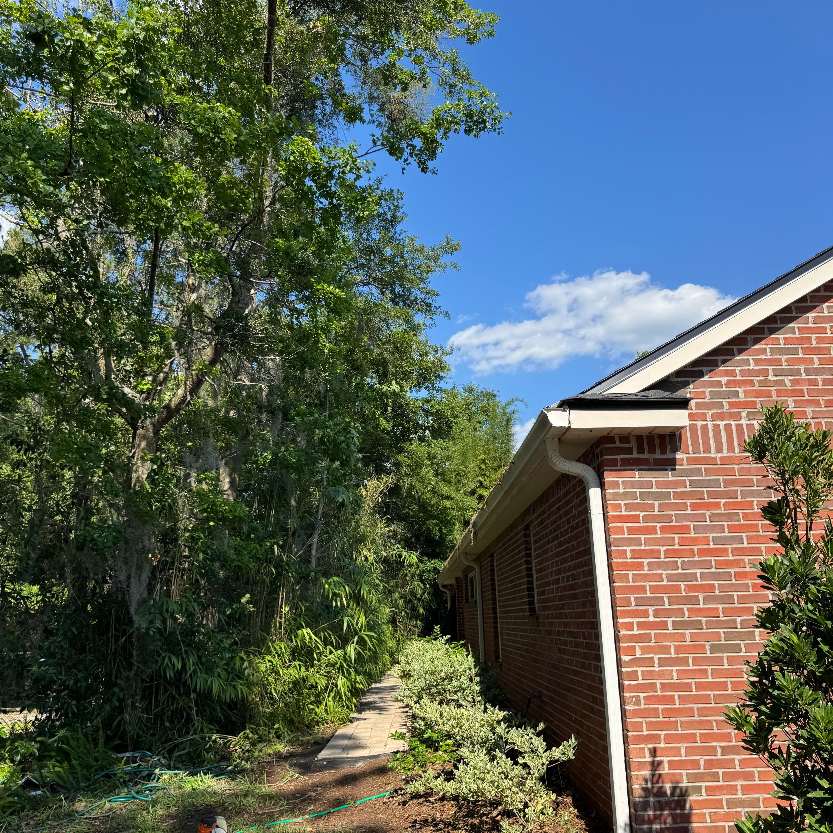 Deerwood Resident | Tree Trimming by ProGreen Services