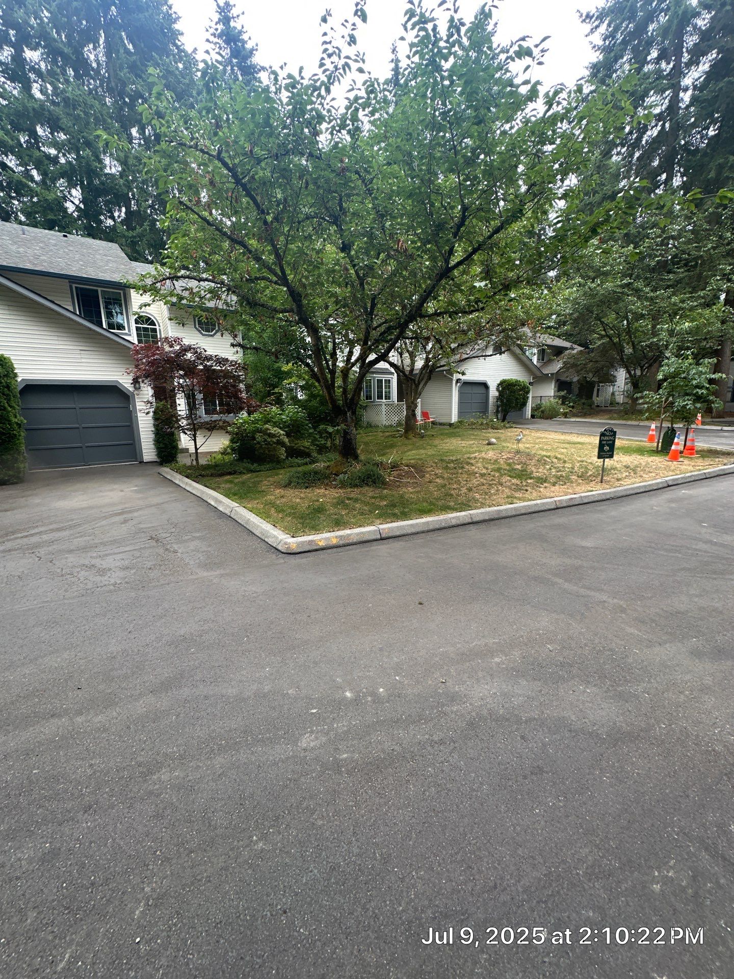 Curb Repaint | Seattle  by Jireh Asphalt & Concrete Inc 