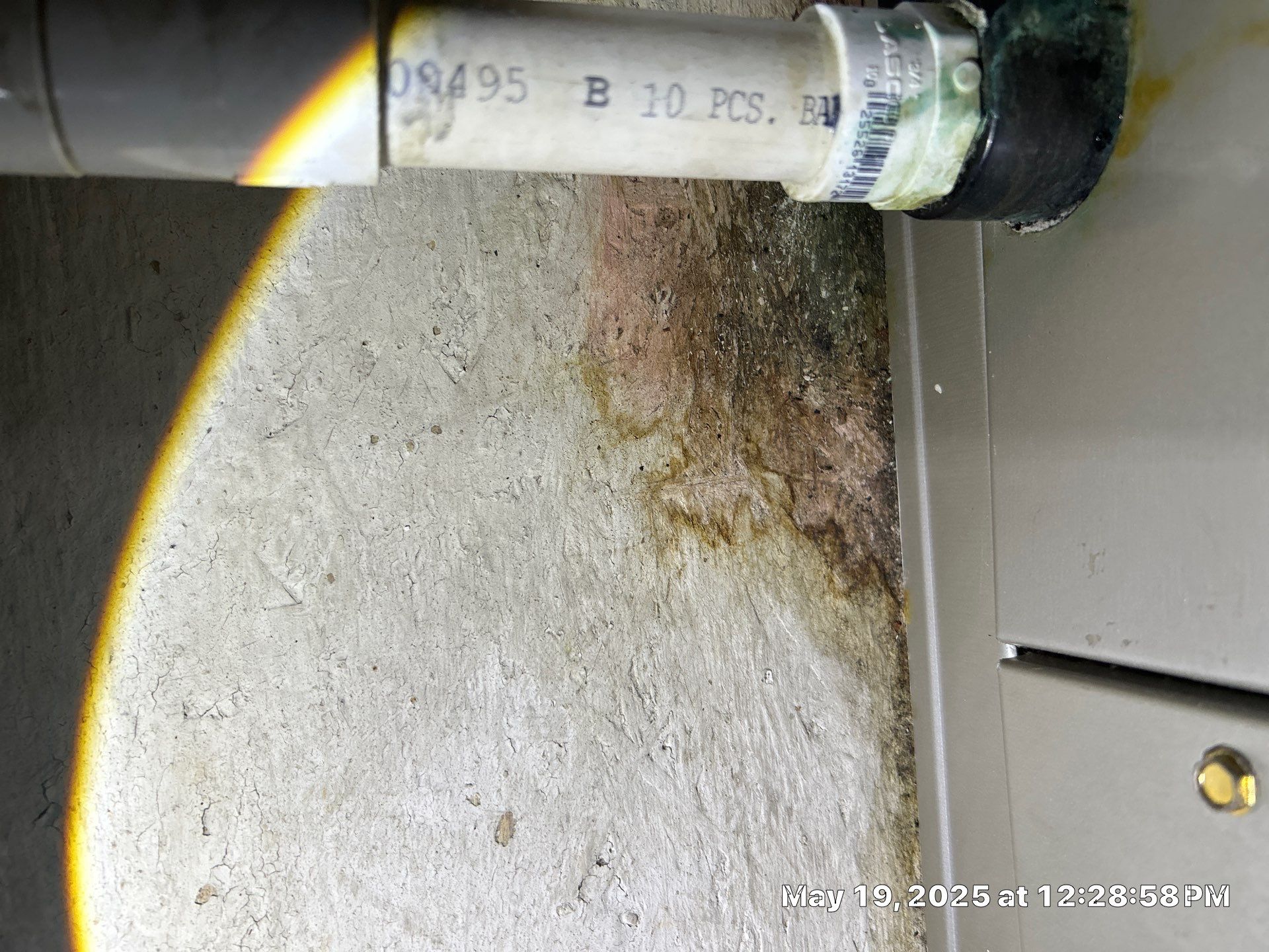 Sarasota Mold Damage by Ampm Restoration Services