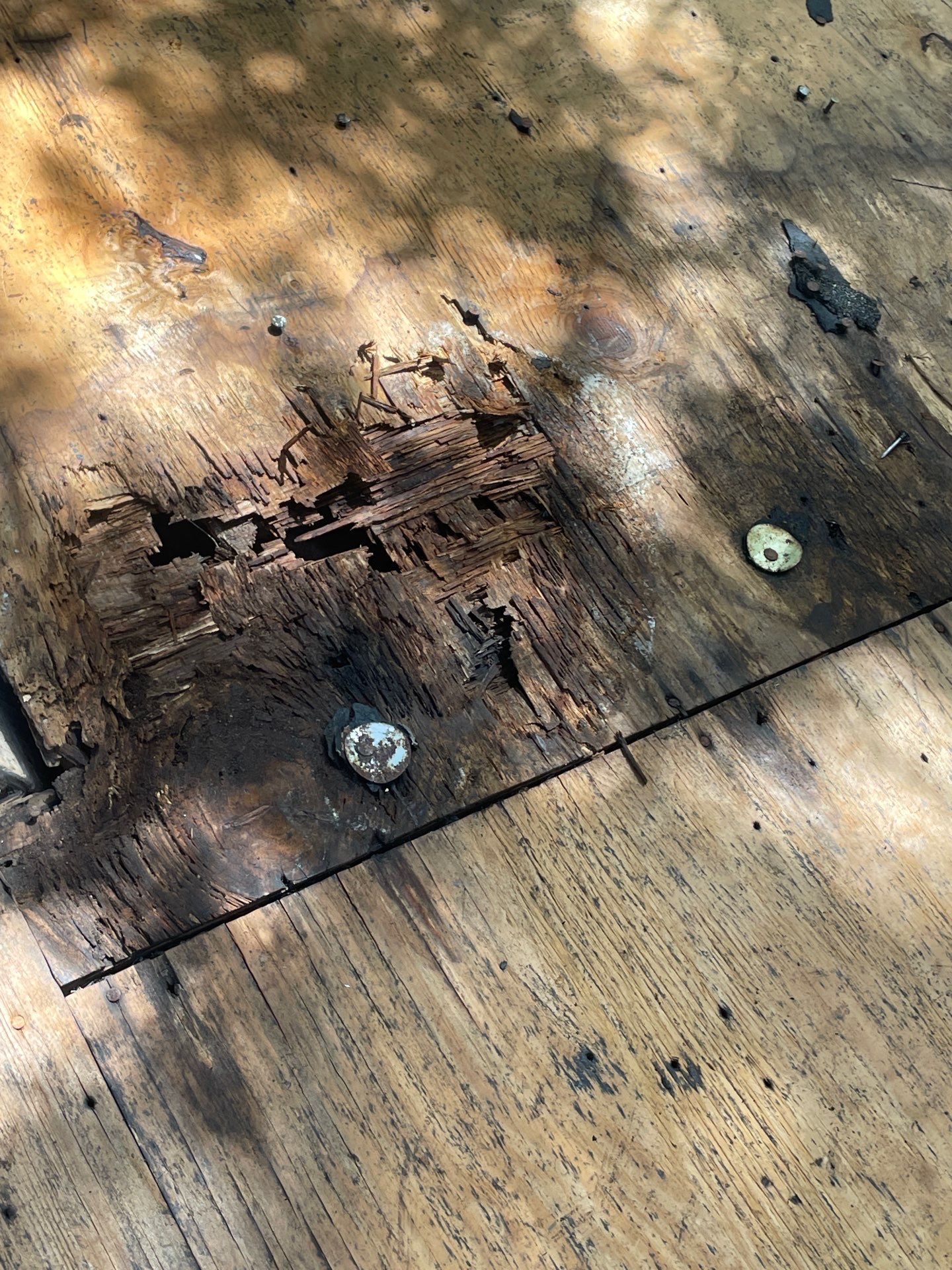 Roof Replacement Humble by Roof Repair Company