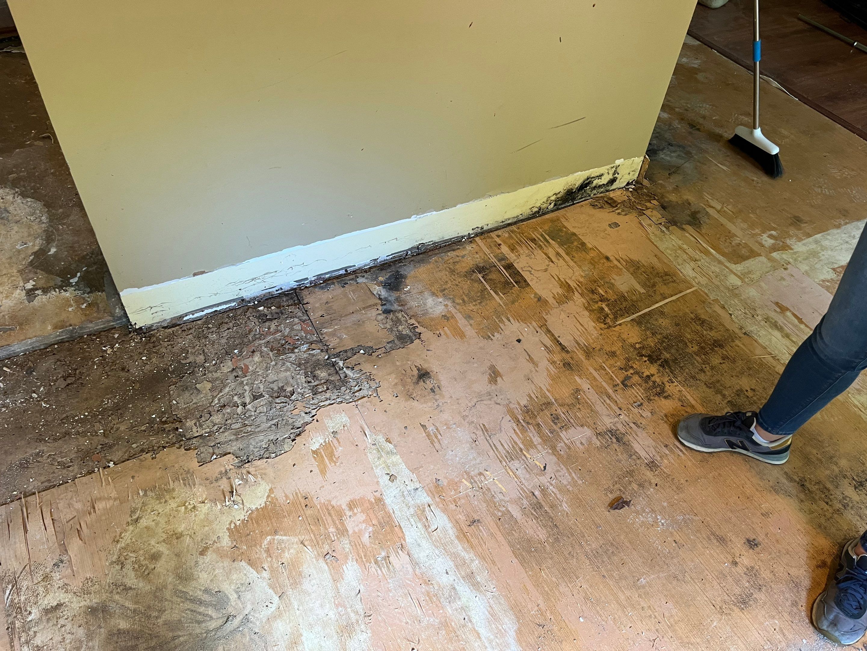 Repairs after water and asbestos remediation by ANR Restoration