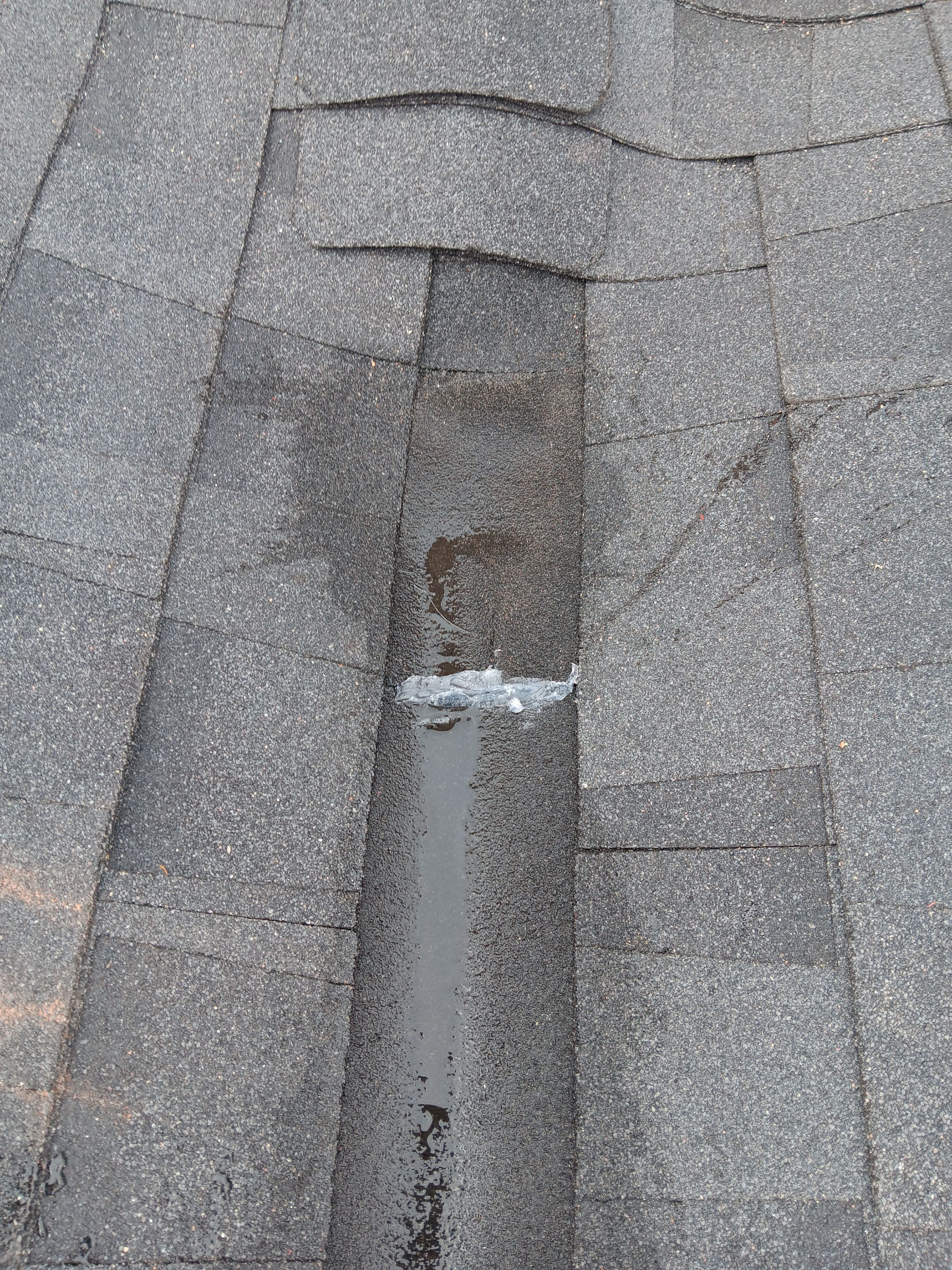 Estate Gray Shingles by Reimagine Roofing
