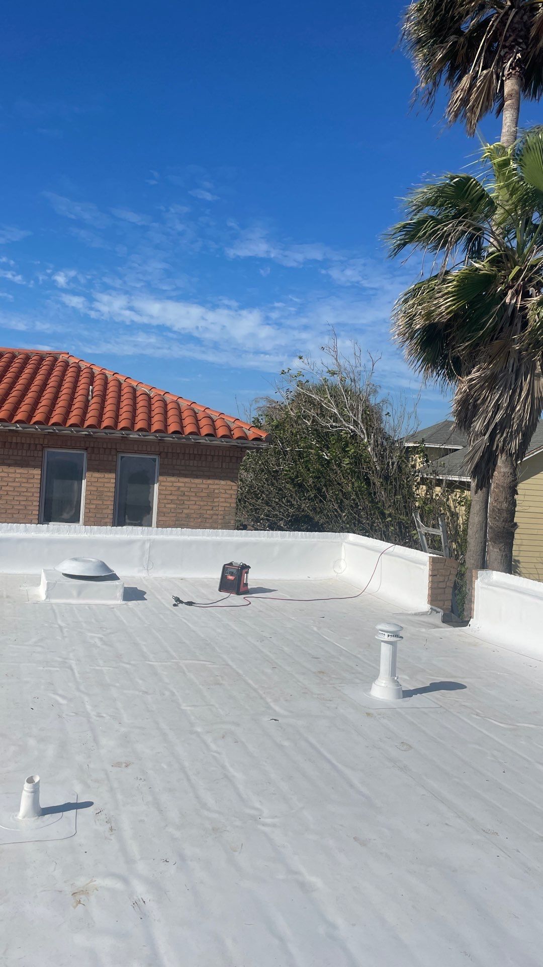 Problems in Paradise  by Bayfront Roofing and Construction
