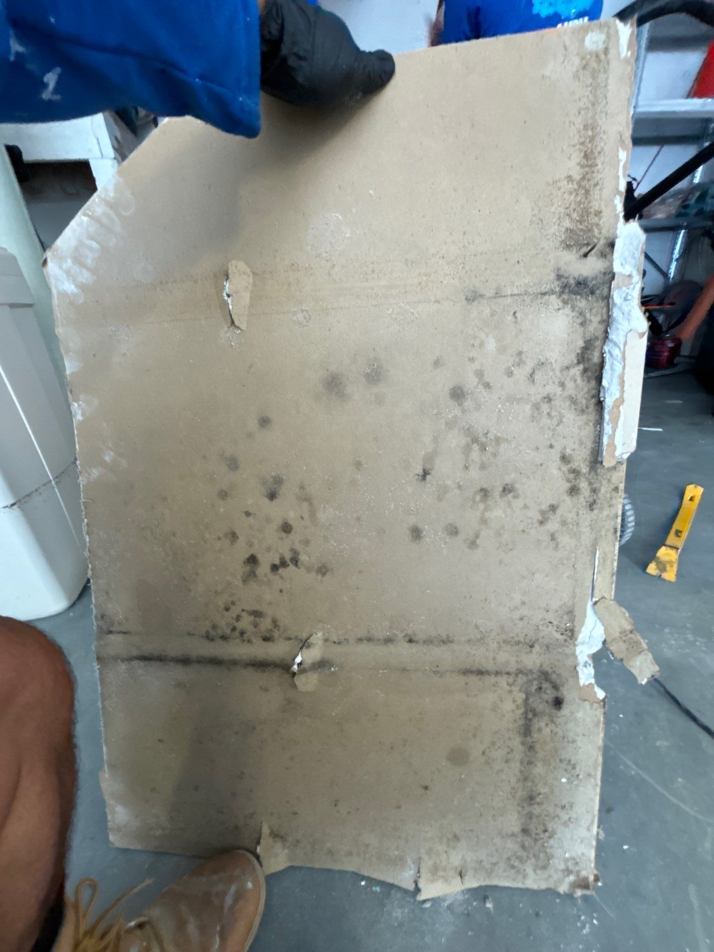 Treasure Island Restoration by Ampm Restoration Services