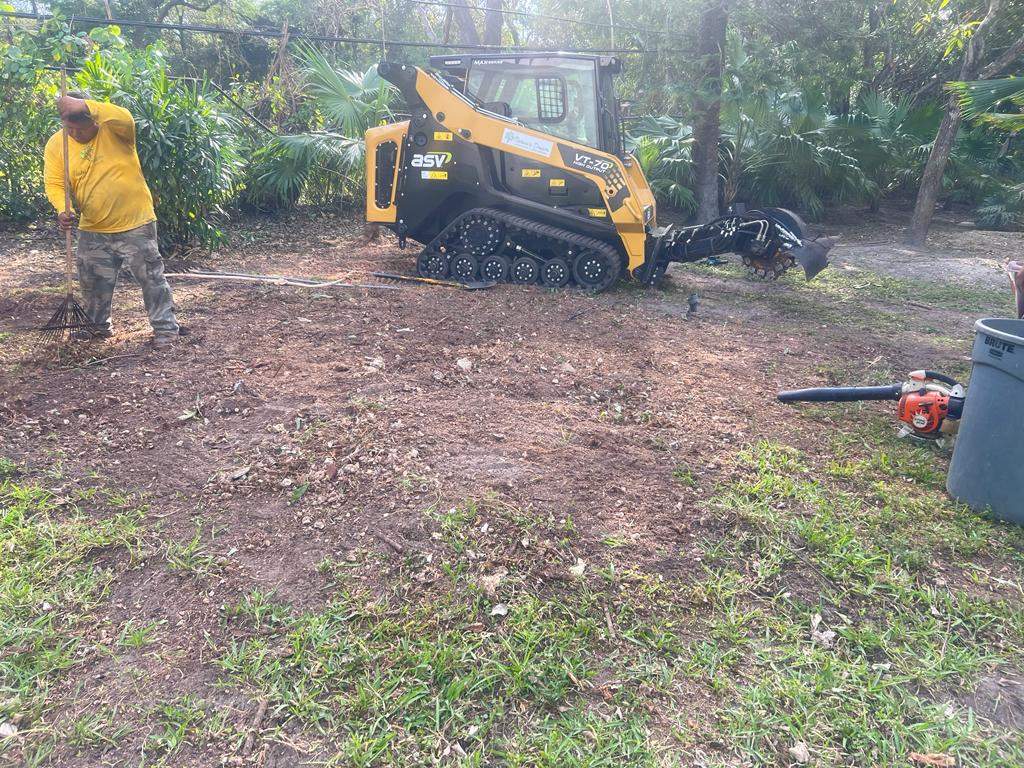 Landscape on New Home in Pinecrest, FL by Nature's Dream Landscape and Tree Service