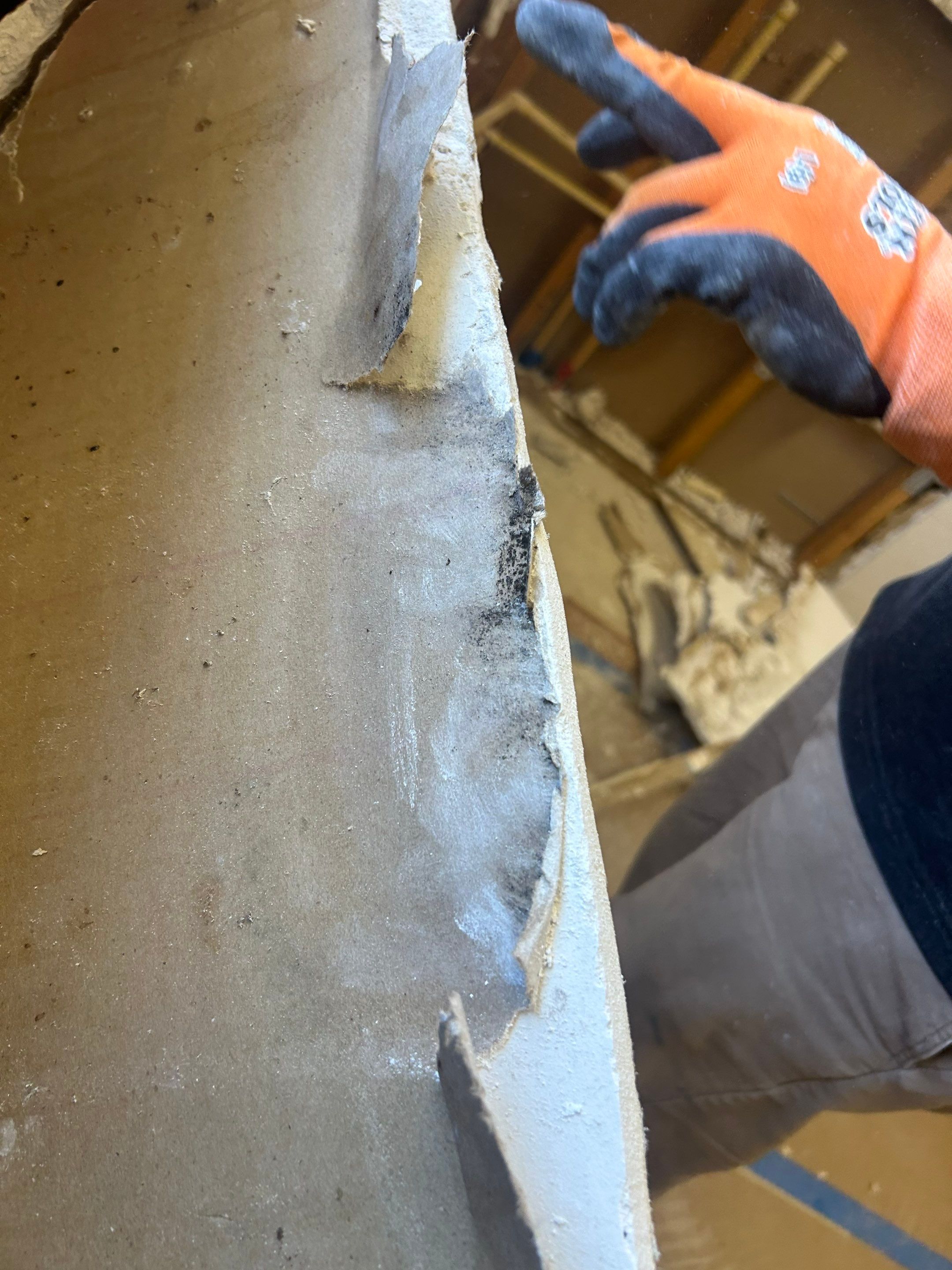 Project in Mascotte by You Restorations LLC DBA YOU-Home