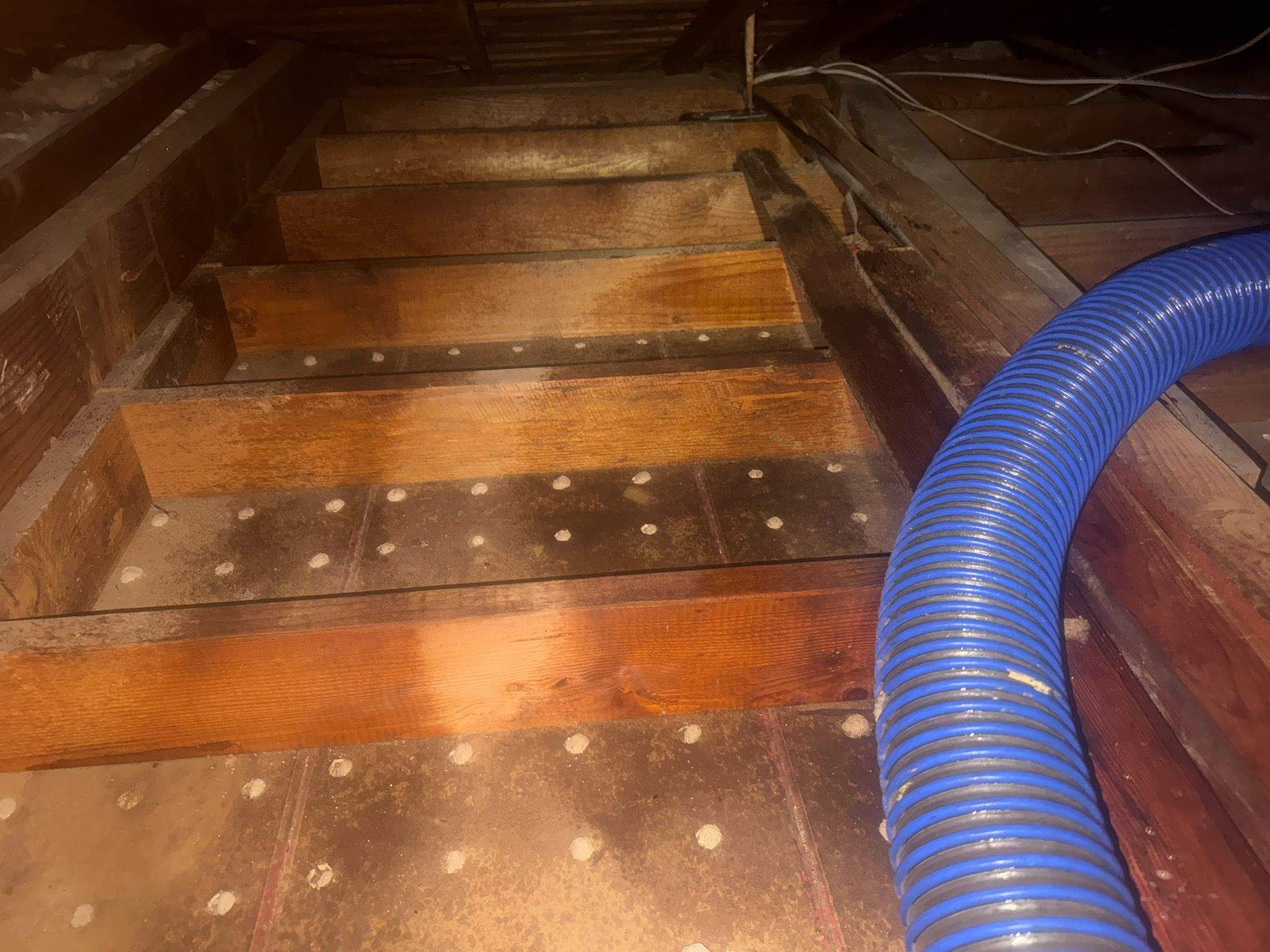 Project in Hastings Ranch Dr by Advanced Attic Solutions