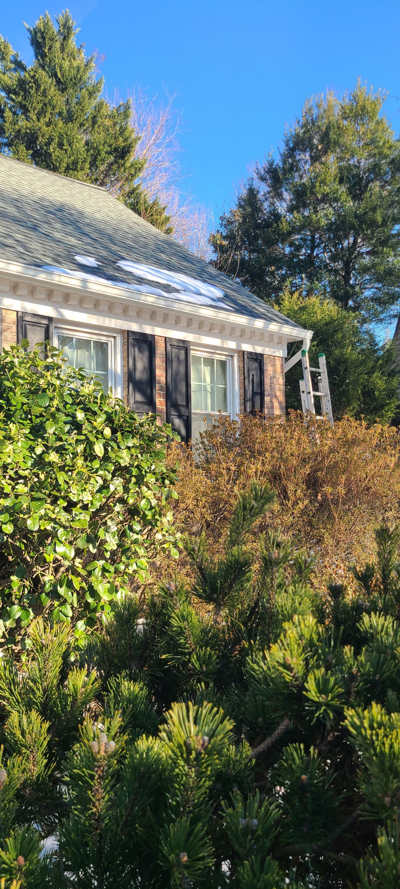 Burke: Multi-Trade Exterior Renovation by RM Banning, Inc.