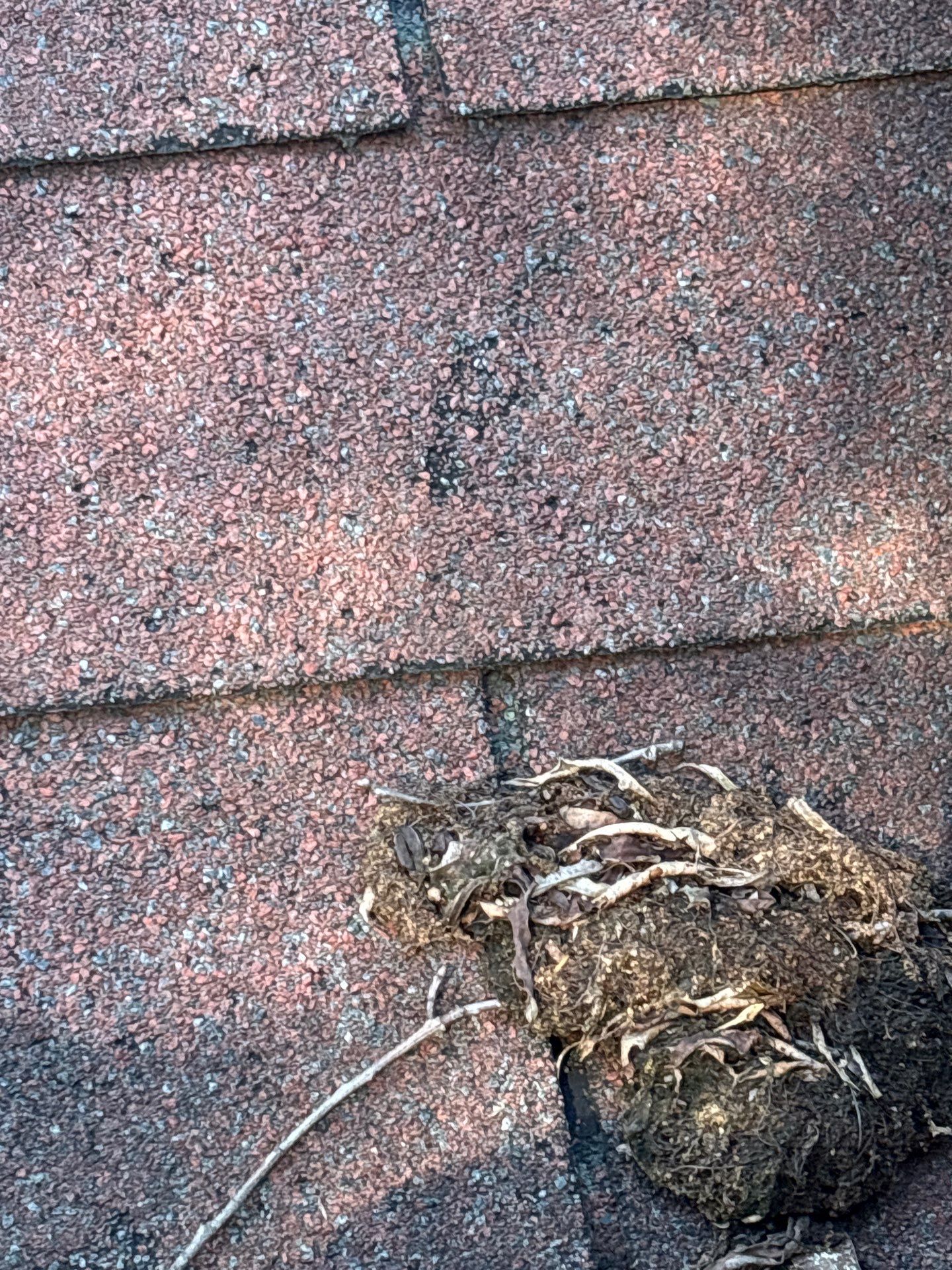 Project in Richmond by Roof Maxx of Midlothian