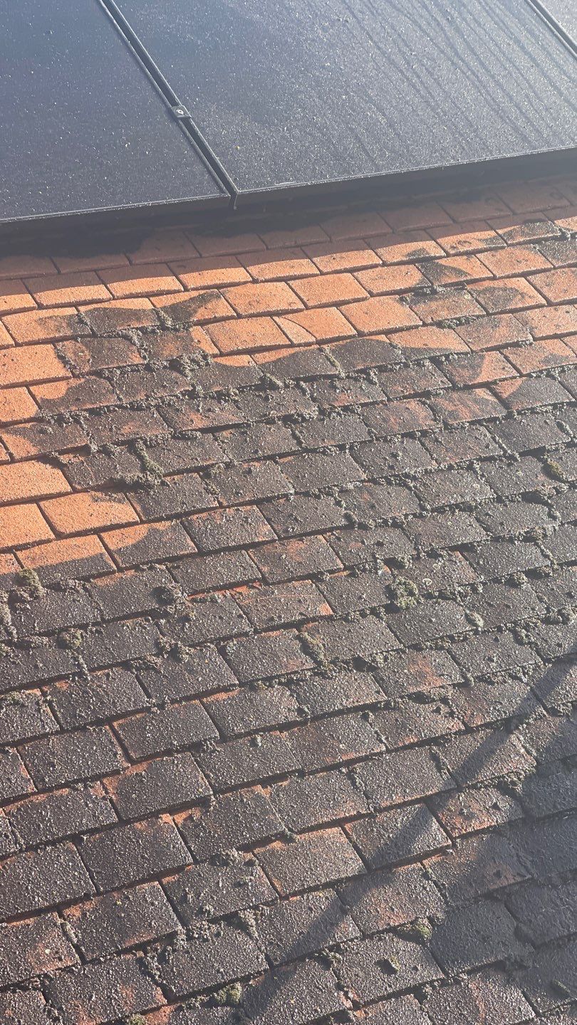 Roof Clean and Coping Stones using Honda 15lpm Low Pressure Washing Machine by Ges Exterior Cleaning ltd