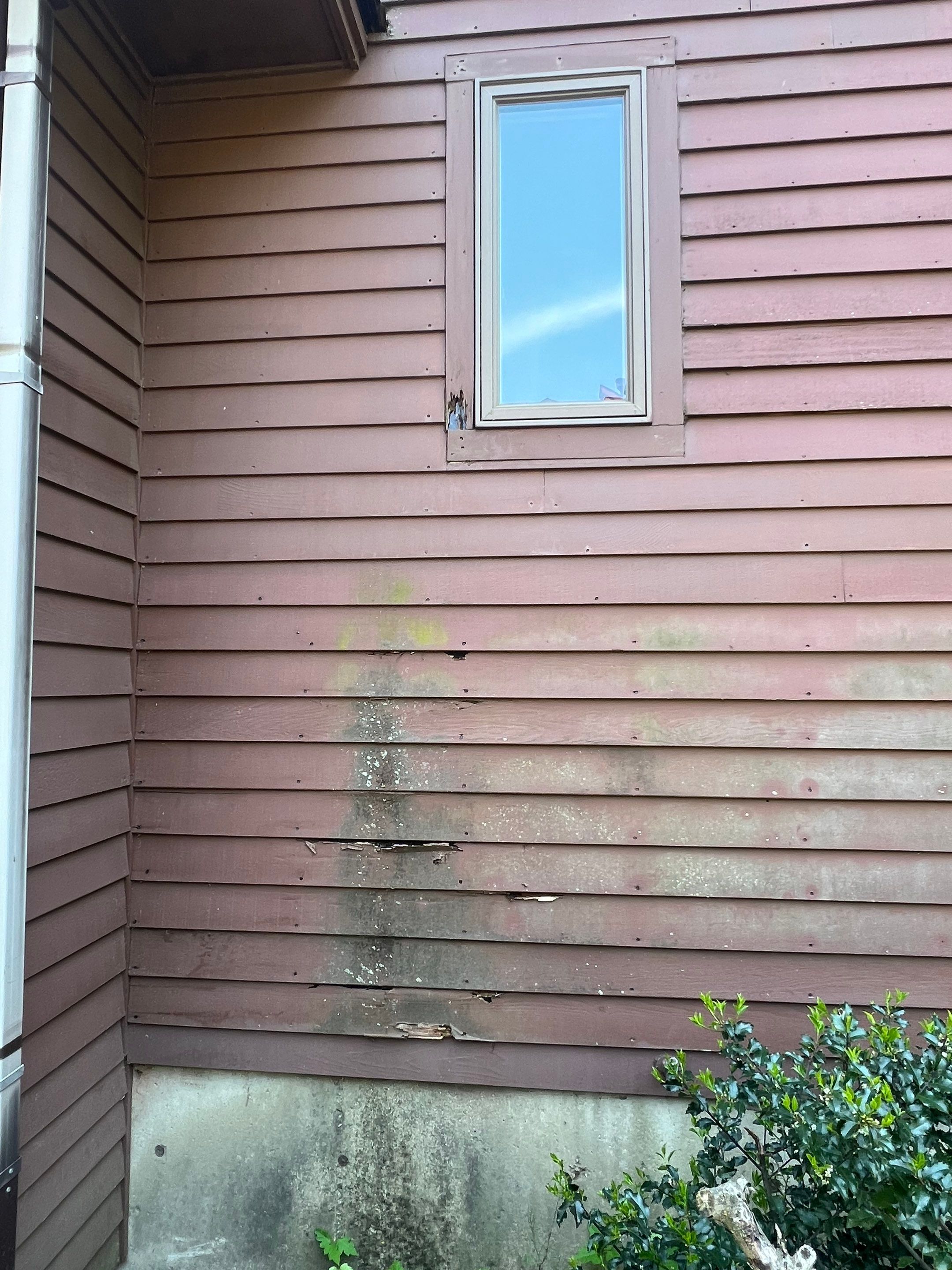 Siding | Methuen by Mighty Dog Roofing of Greater Middlesex County