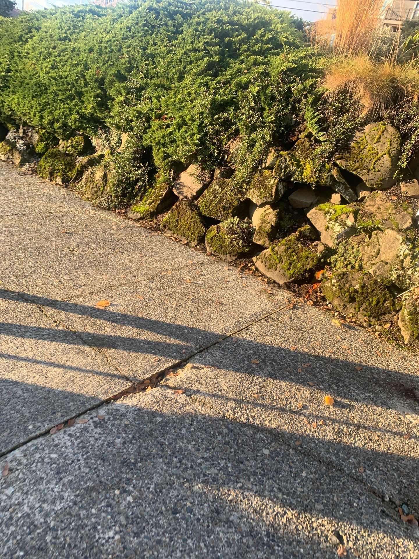 Concrete Driveway Repair | Seattle  by Jireh Asphalt & Concrete Inc 