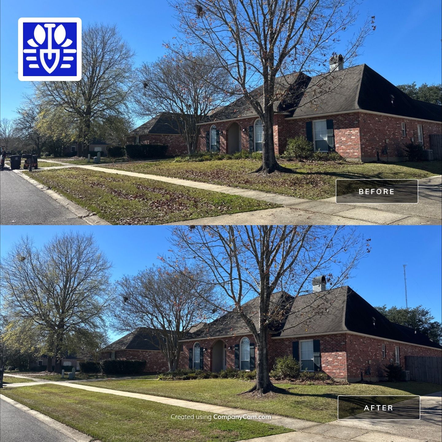 WINTER SERVICES: FULL LEAF JOB by CutScape, LLC.