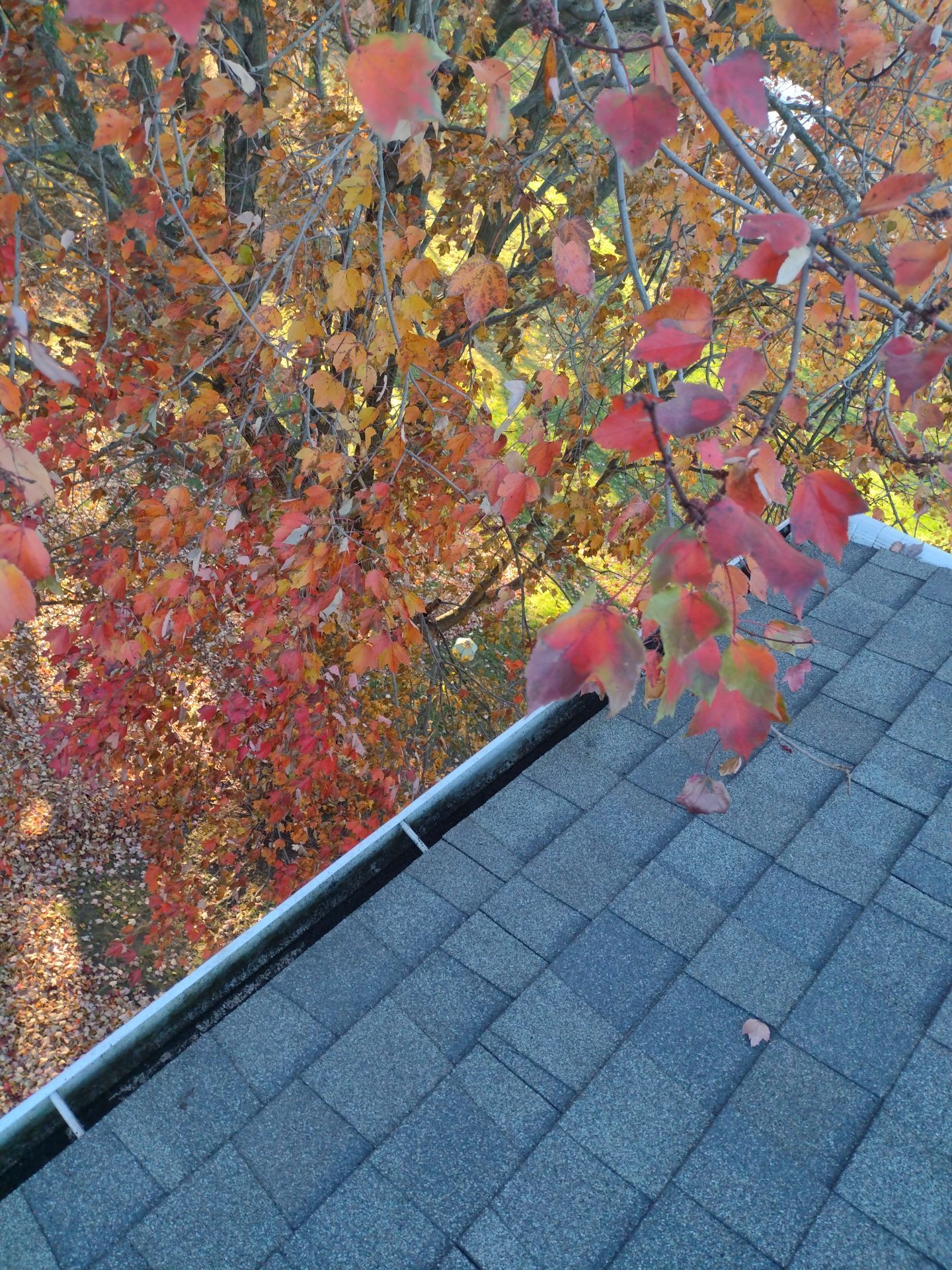 Commercial gutter cleaning Kalamazoo after photo with clean gutters