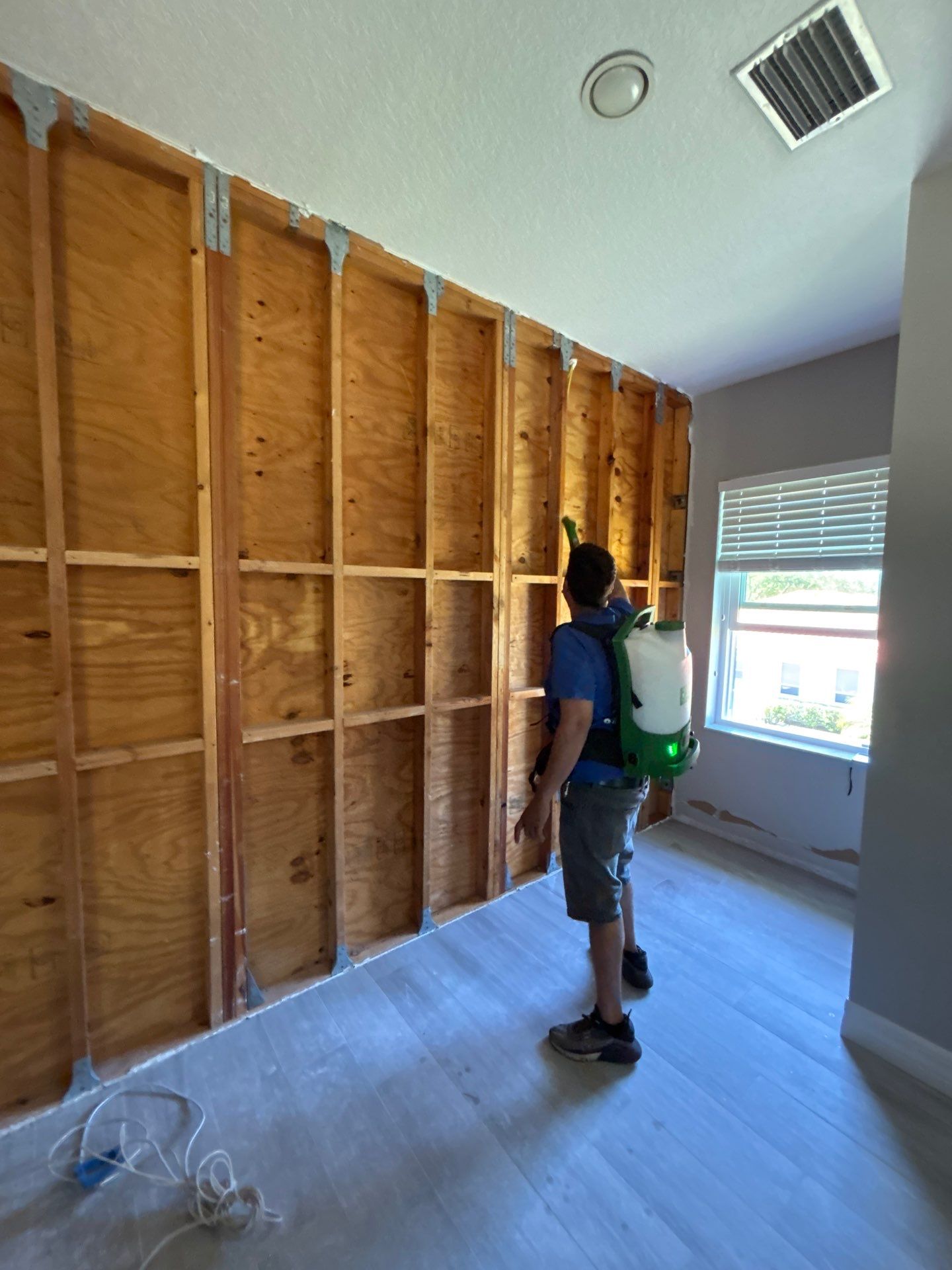 Mold Removal & Remediation In Sarasota by Ampm Restoration Services