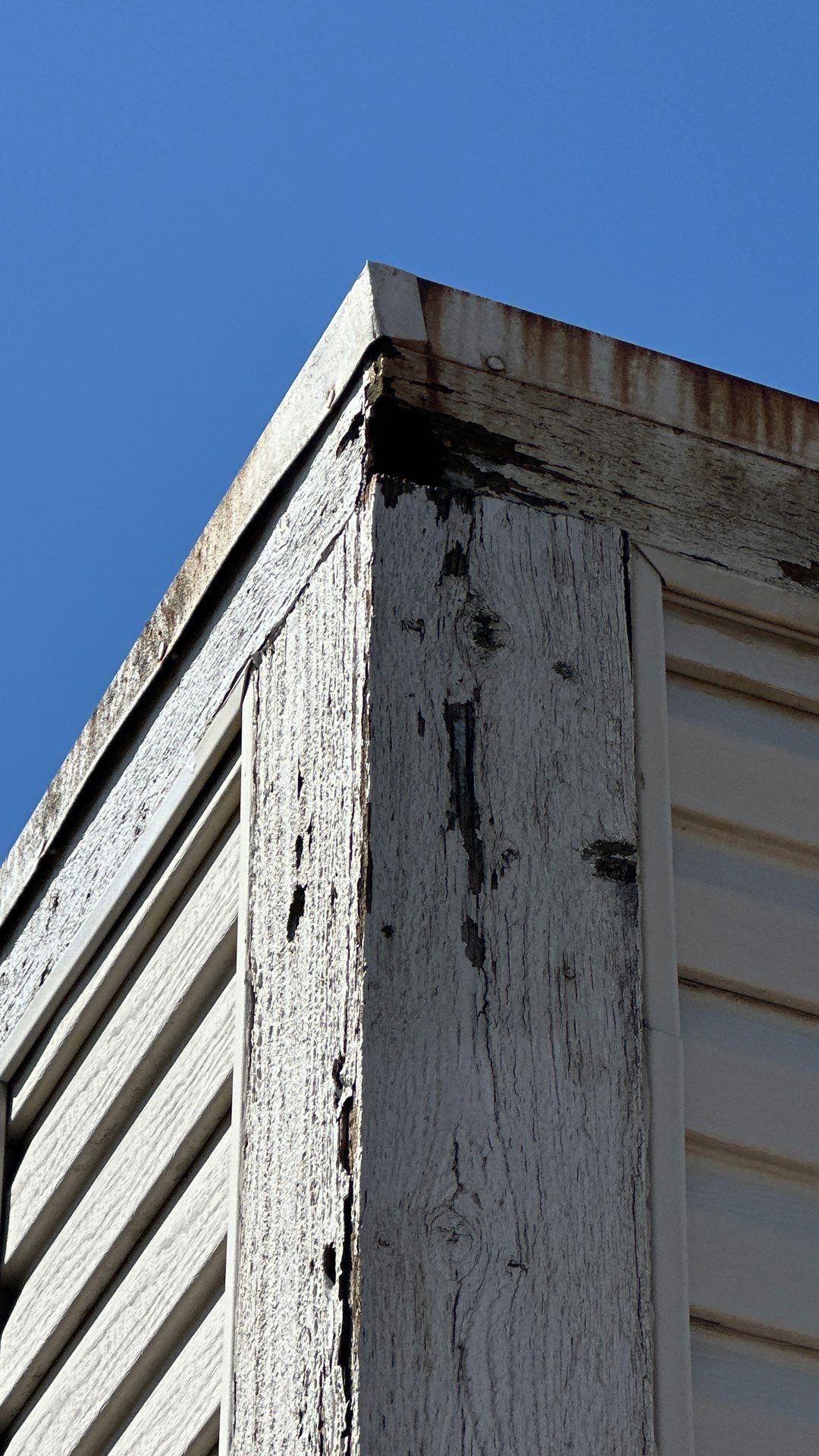 Westerville Trim Repair by KFX Roofing