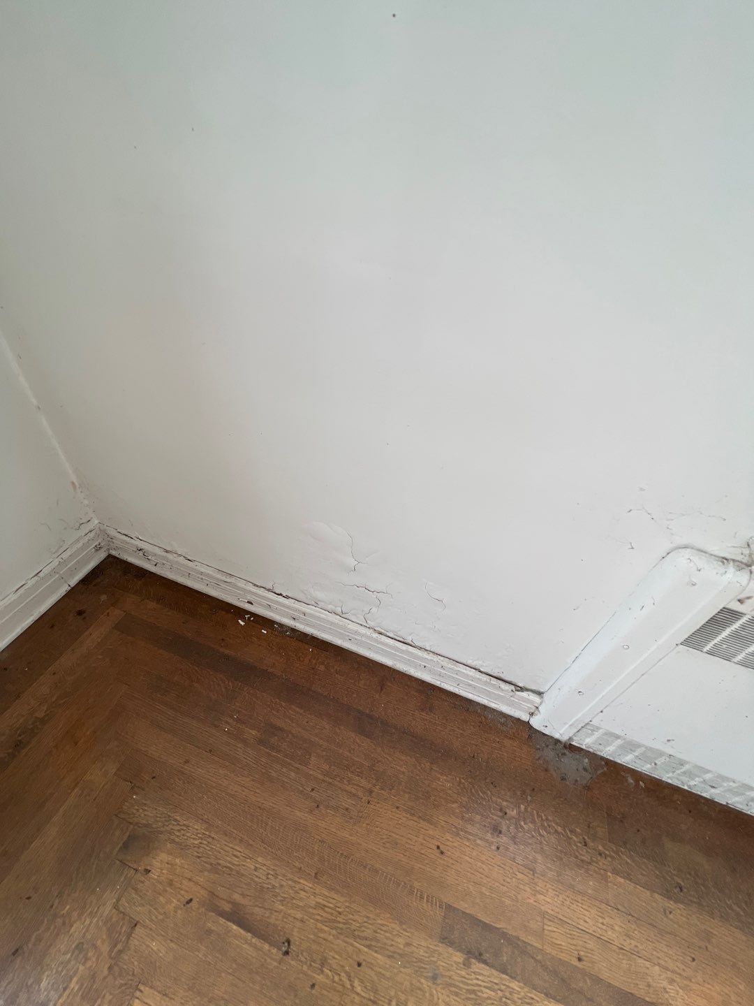 Mold Remediation by Accountable Home Services