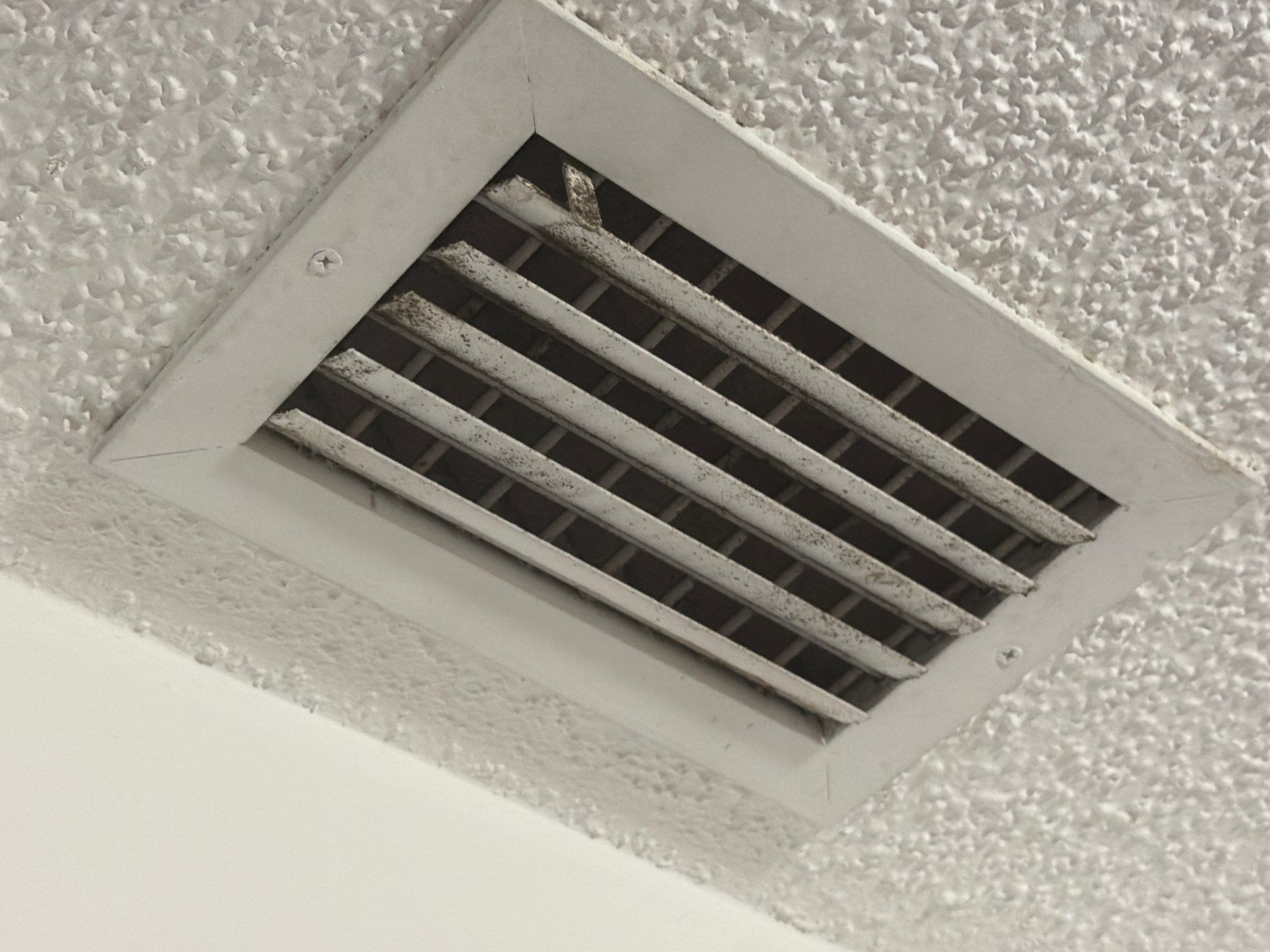 Comprehensive Mold Remediation and Air Quality Management in Miami Gardens by SuperClean