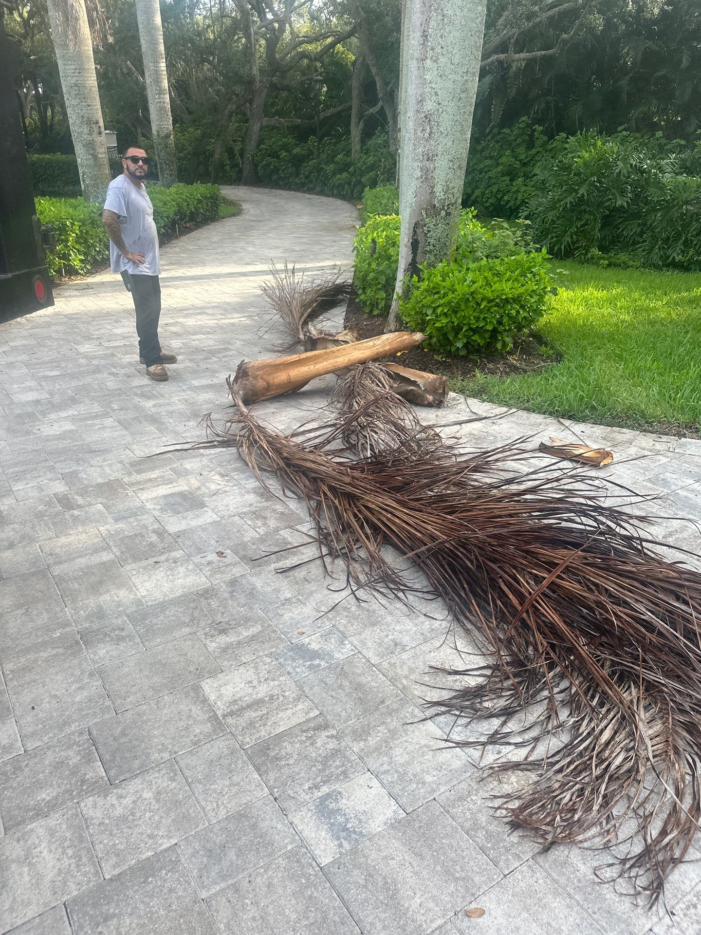 Sewall's Point Phase 1 - The Art of the Cutback by Alpha Zeta Enterprises Inc