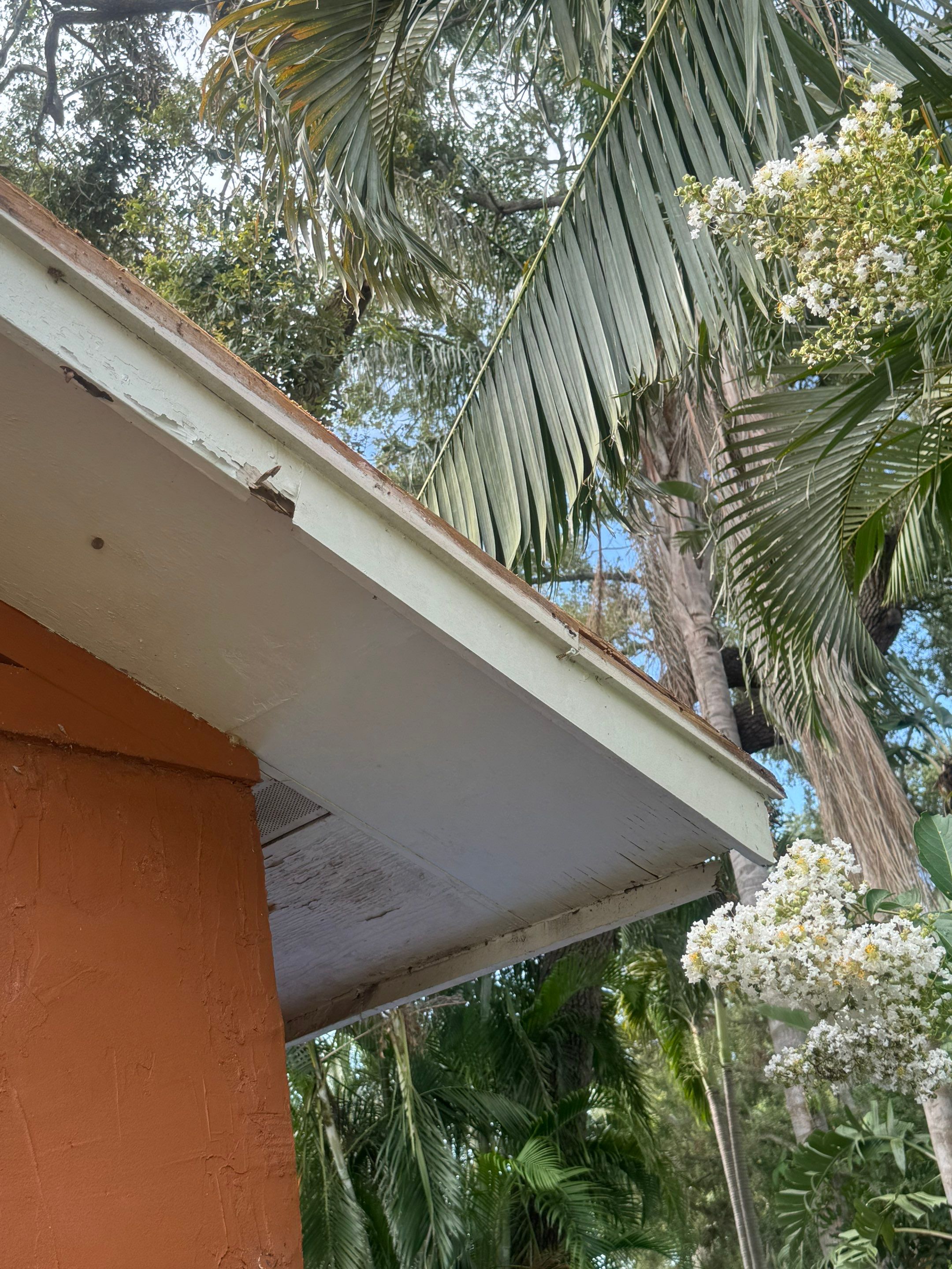 Project in Pinellas Park 33781 by Mitchell Roofing Company LLC 