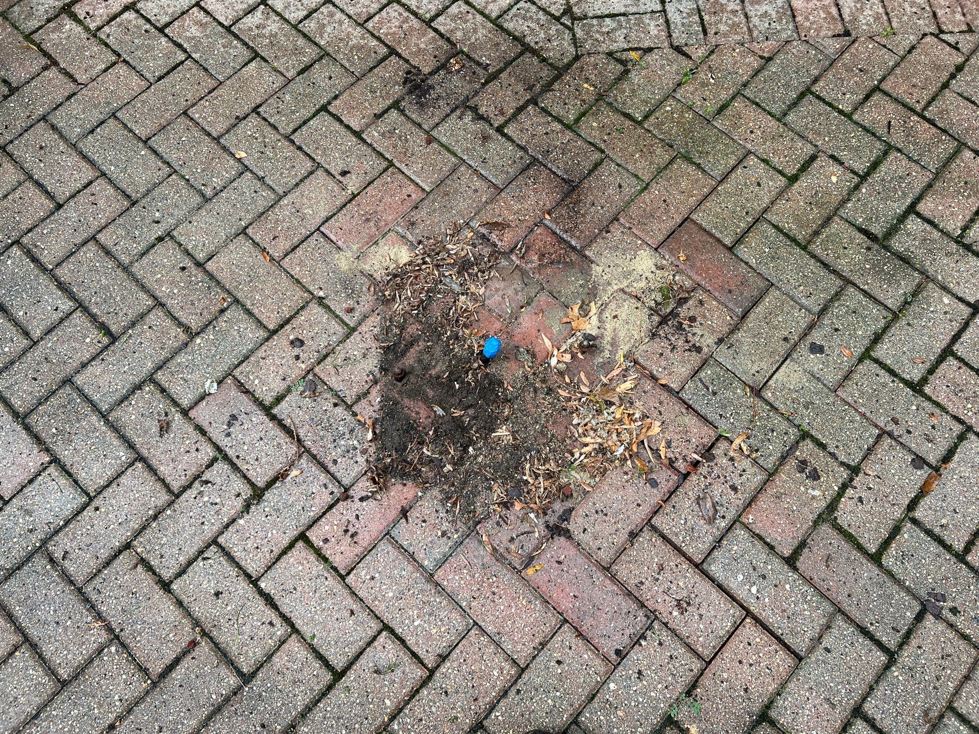 Brick paver clean, sand and seal.  using Surebond SB-1300 by Northern Power Washing LLC.