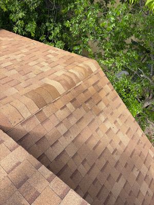 Roof Leak Repair & Tree Trimming in Pflugerville, TX