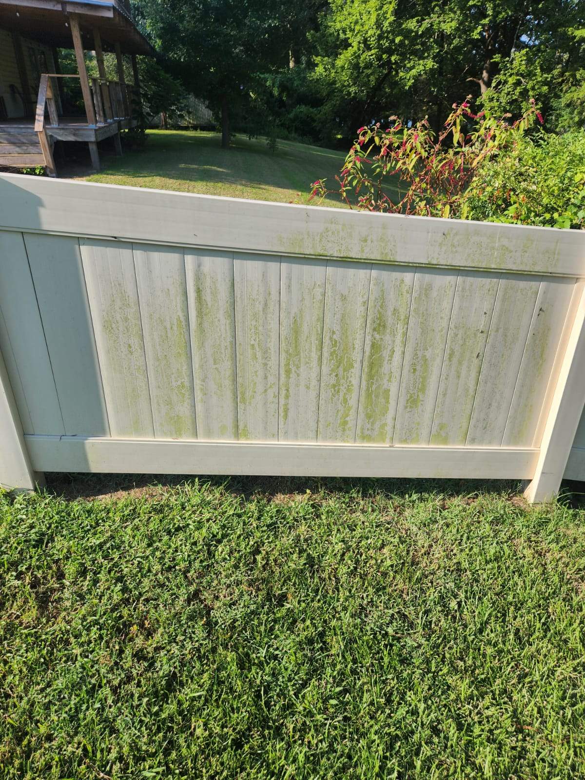 Fence Soft Wash by College Bros Outdoor services
