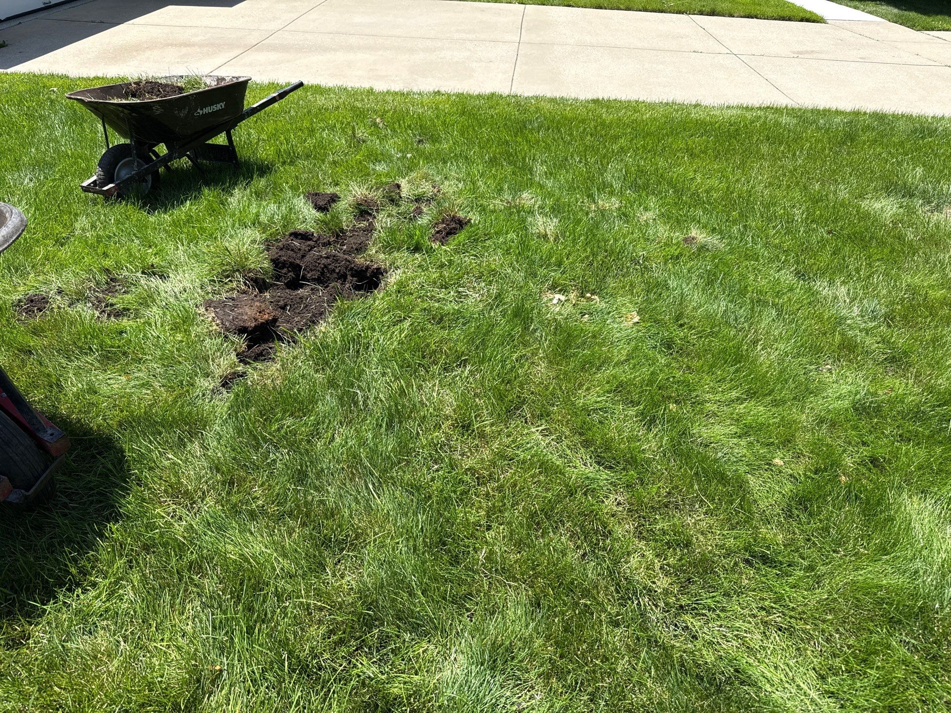 TJ W. - Elk Grove Village, IL by A&N