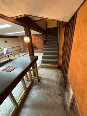 Basement Mold Remediation from Flooding