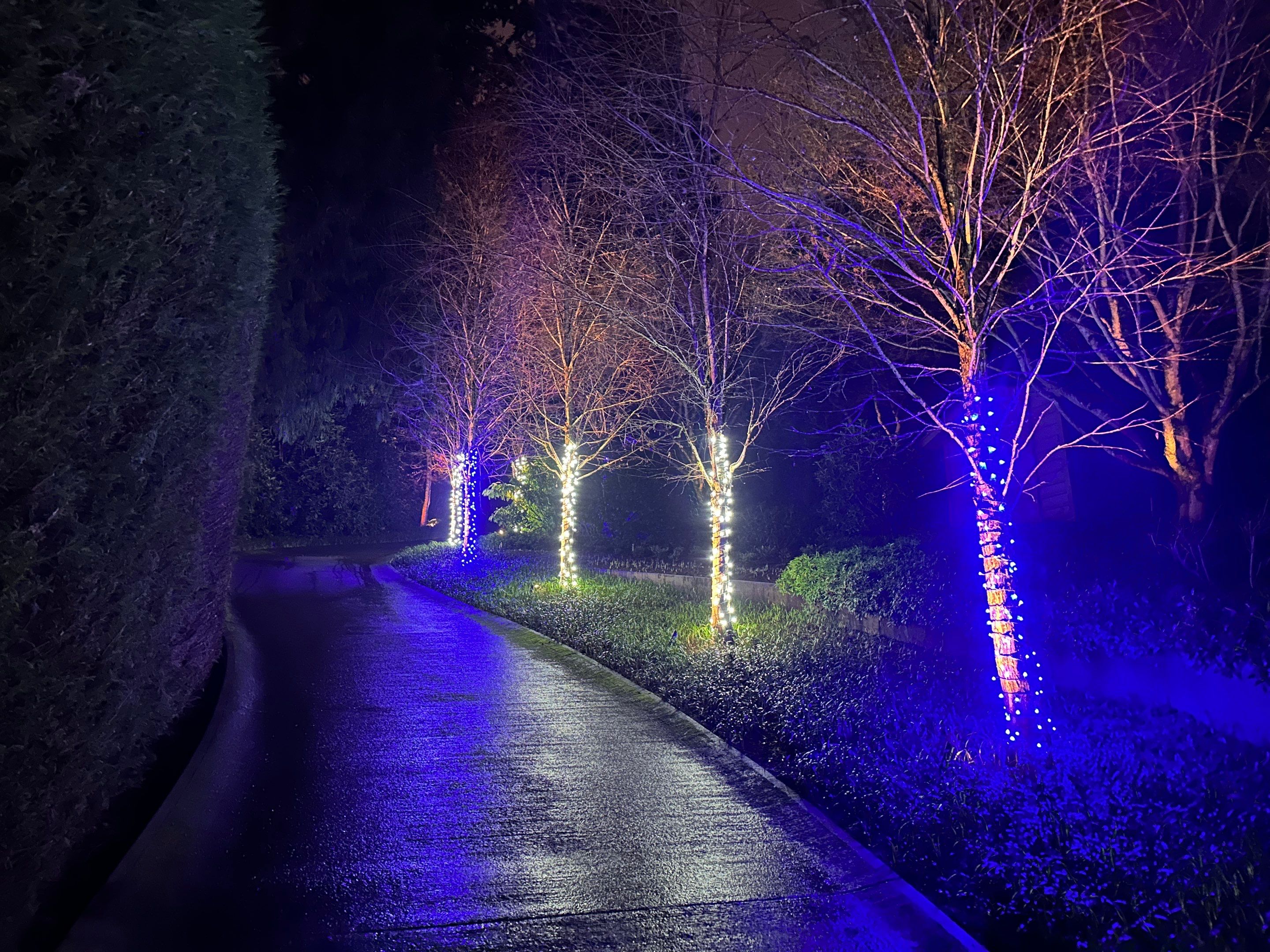 Holiday Light Gallery by WindowWorks