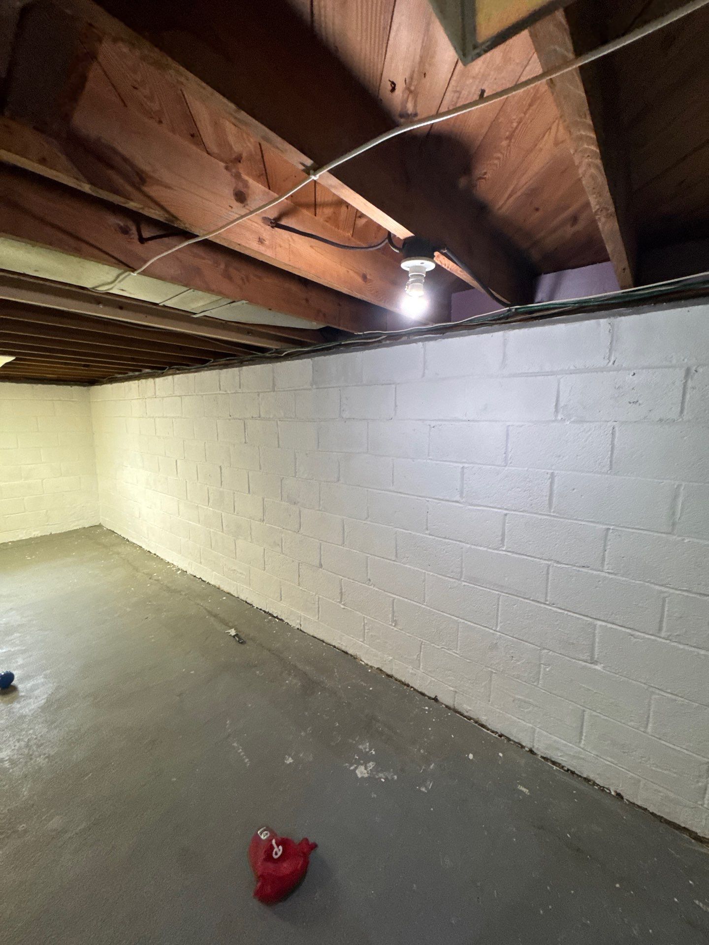 Utility Basement Mold Remediation and Sanitation Corner Case Study by Right On Time Restoration