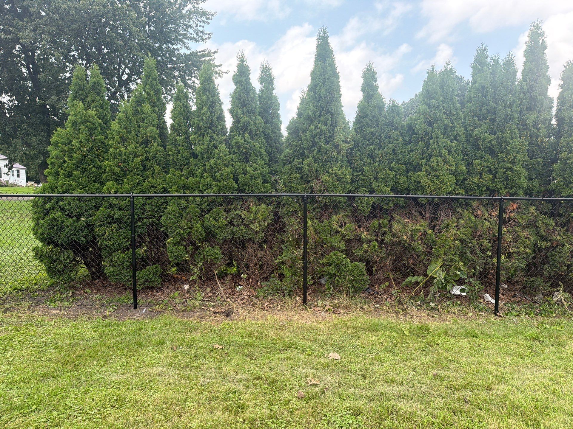 Residential Black Chain Link Fence Installation in Reinbeck by Perfect Picket Fence and Stain