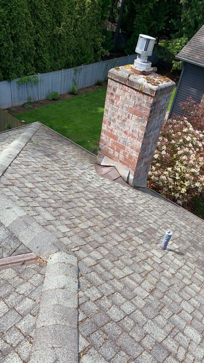 Softwashed in many Years back, and organic regrowth significant by DawnSky LLC