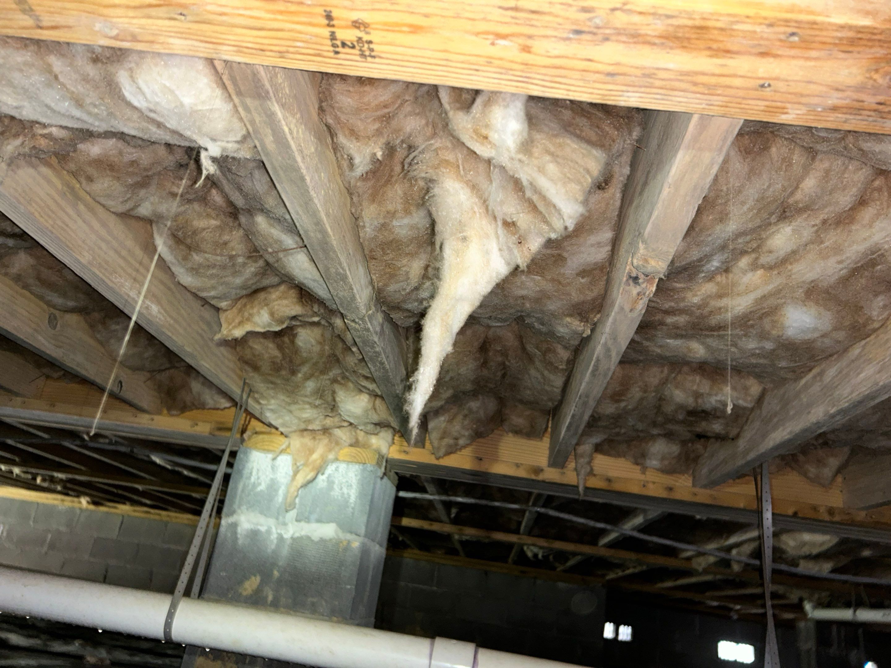 Premium Encapsulation with 20Mil, Borafoam insulation and Light System. by Impact Crawlspace