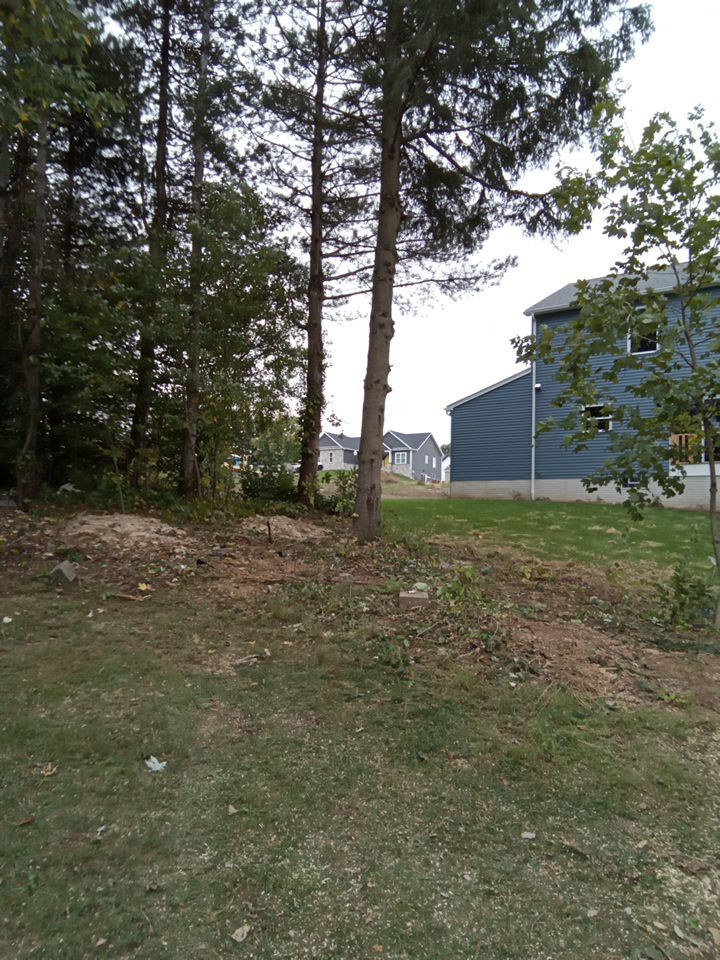 Tree Removal using Tree Removal by Mike Jones & Sons Tree Service LLC 