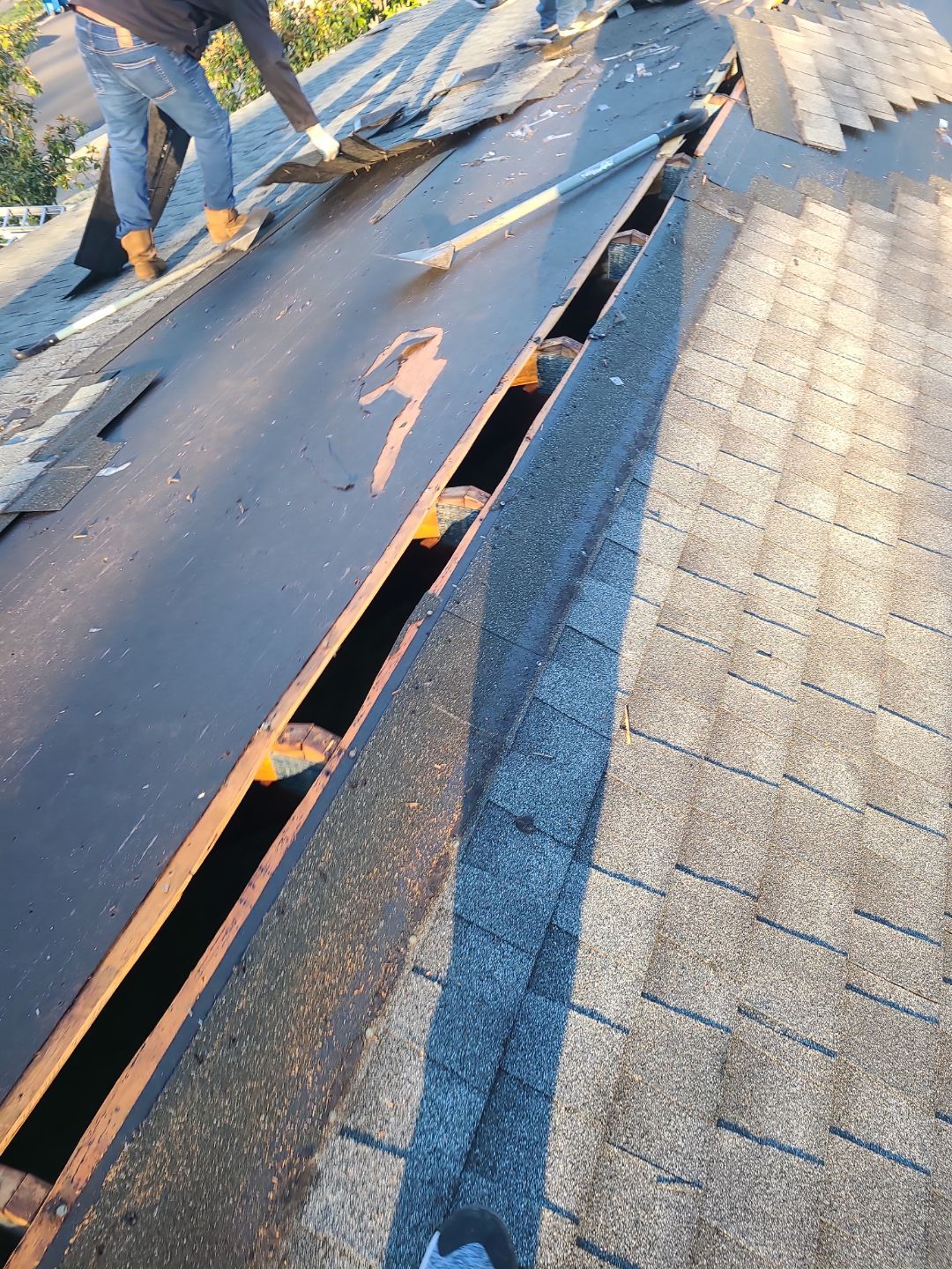 Springfield CertainTeed Landmark Pro Roof in Max Def Pewter by RM Banning, Inc.