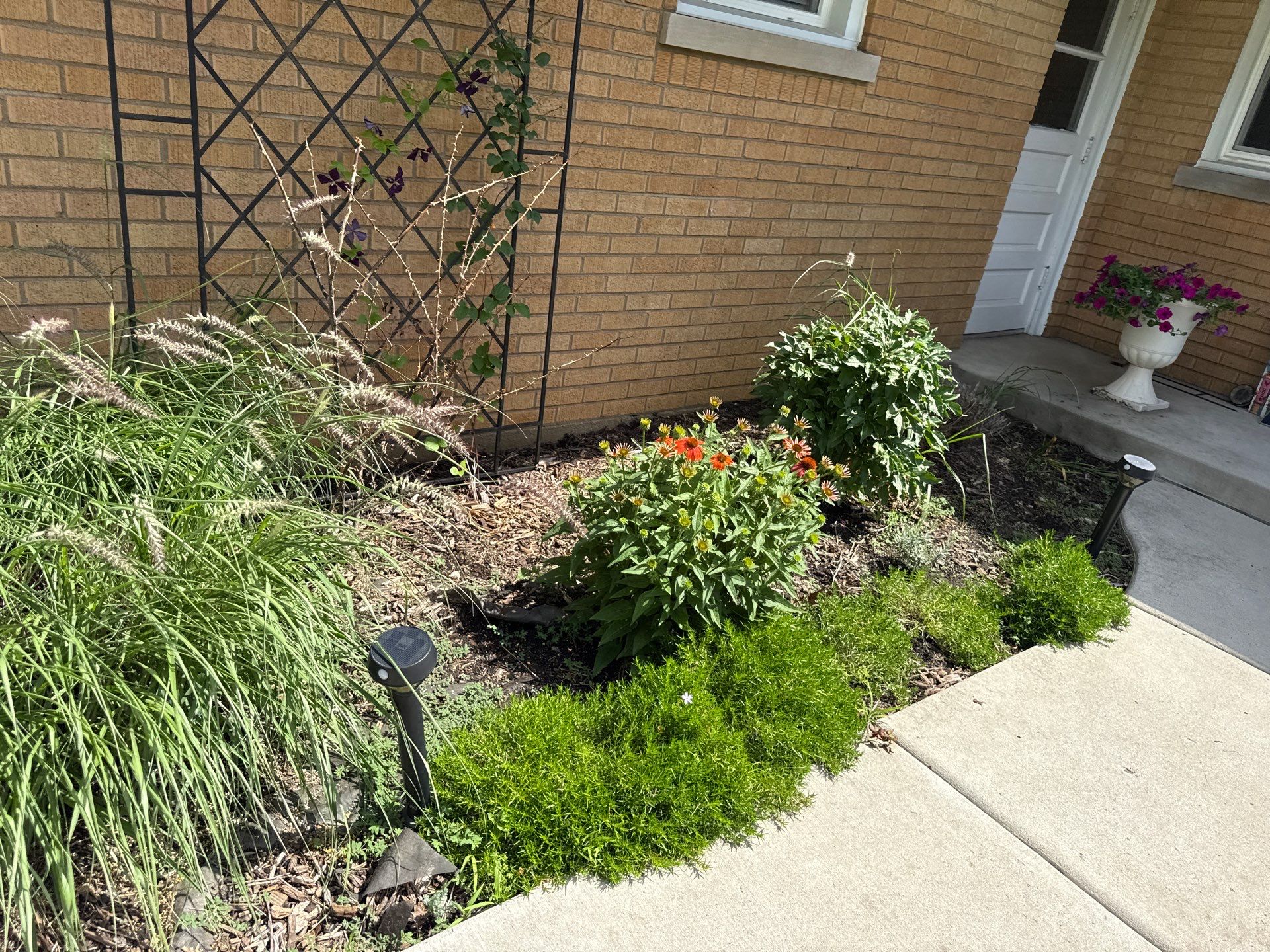 Cheris B. - Mount Prospect, IL by A&N 