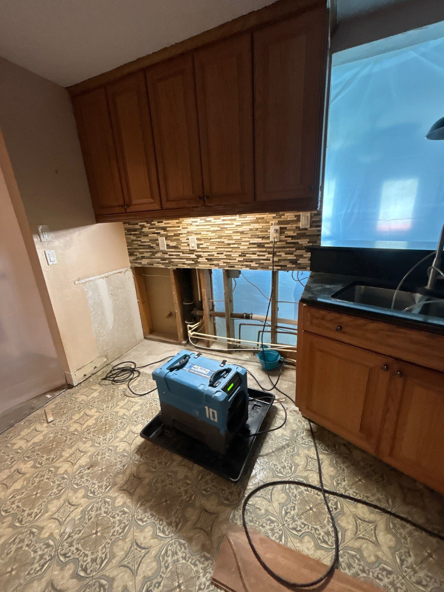 Black Mold Removal In Venice Florida by Ampm Restoration Services