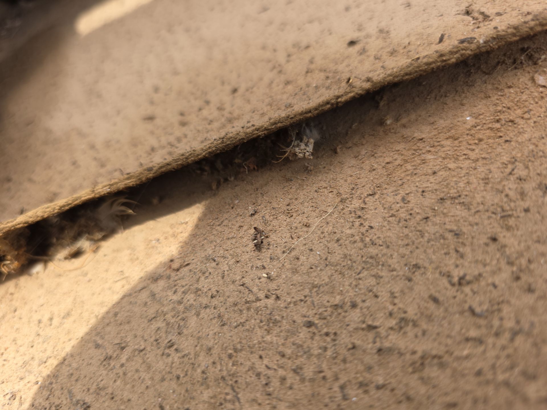 ☀️ Tile Reset Complete in Mesa, AZ by Weather-Tite Roofing
