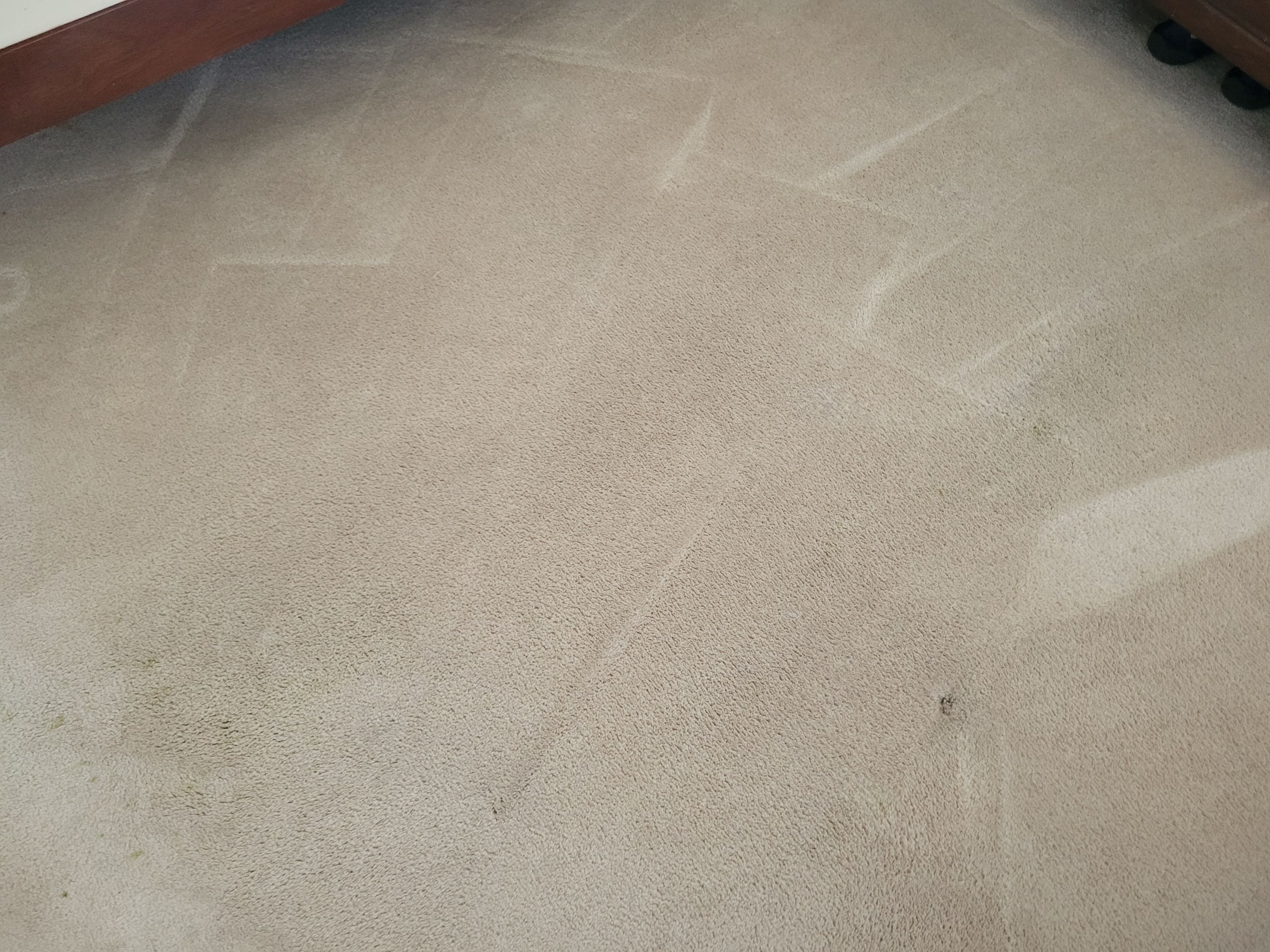 Greens Drink, Carpet Stain Removal by Ardent Carpet Restore LLC