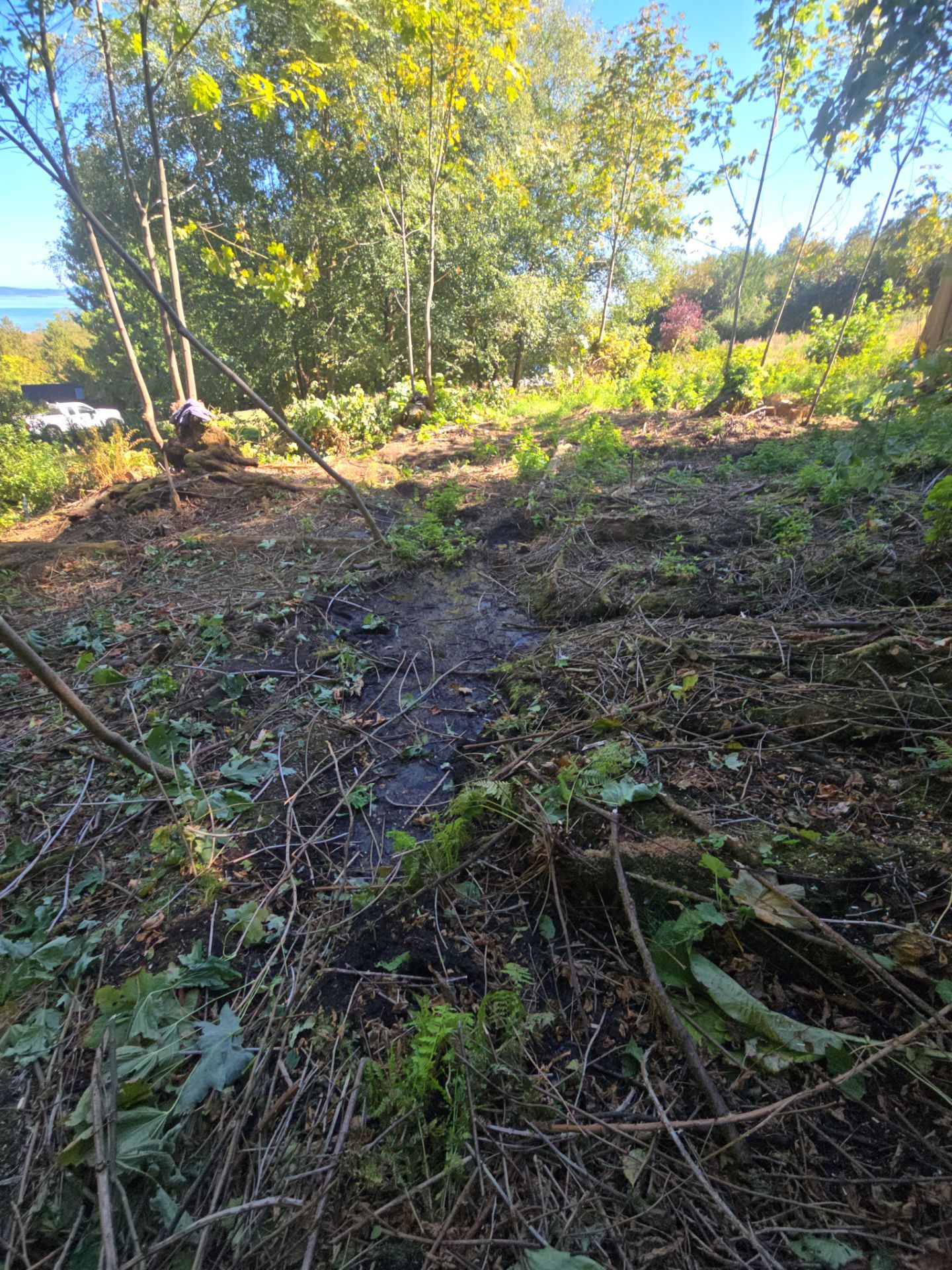 Island View - Ecological Restoration & Stewardship by Habanero Landscape Solutions